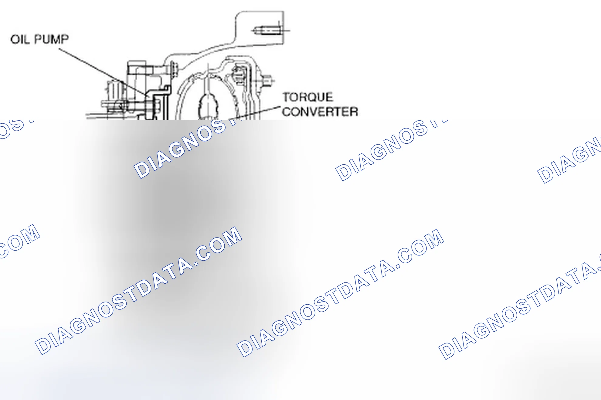Scheme 339