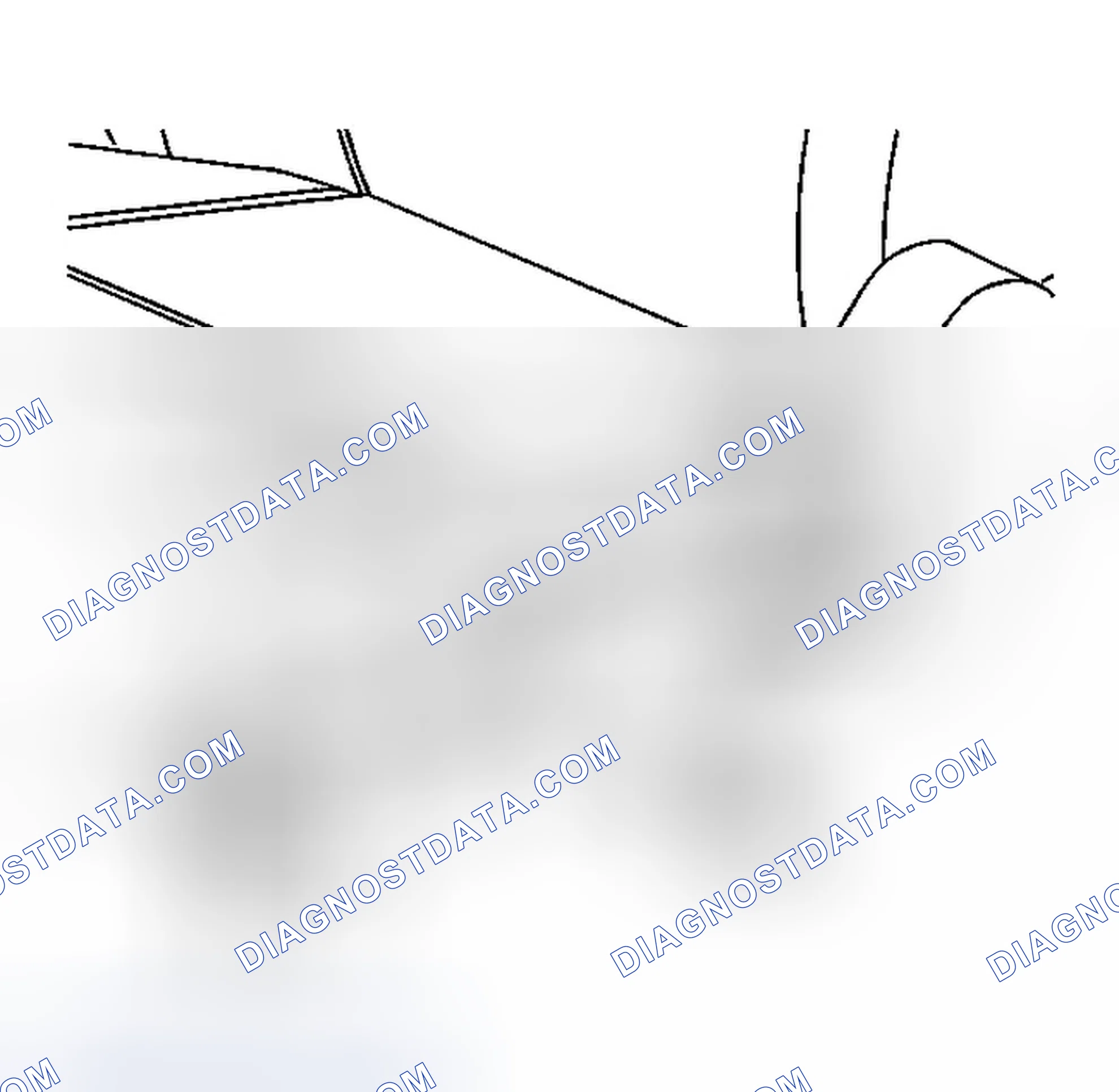 Scheme 3: Removal Procedure