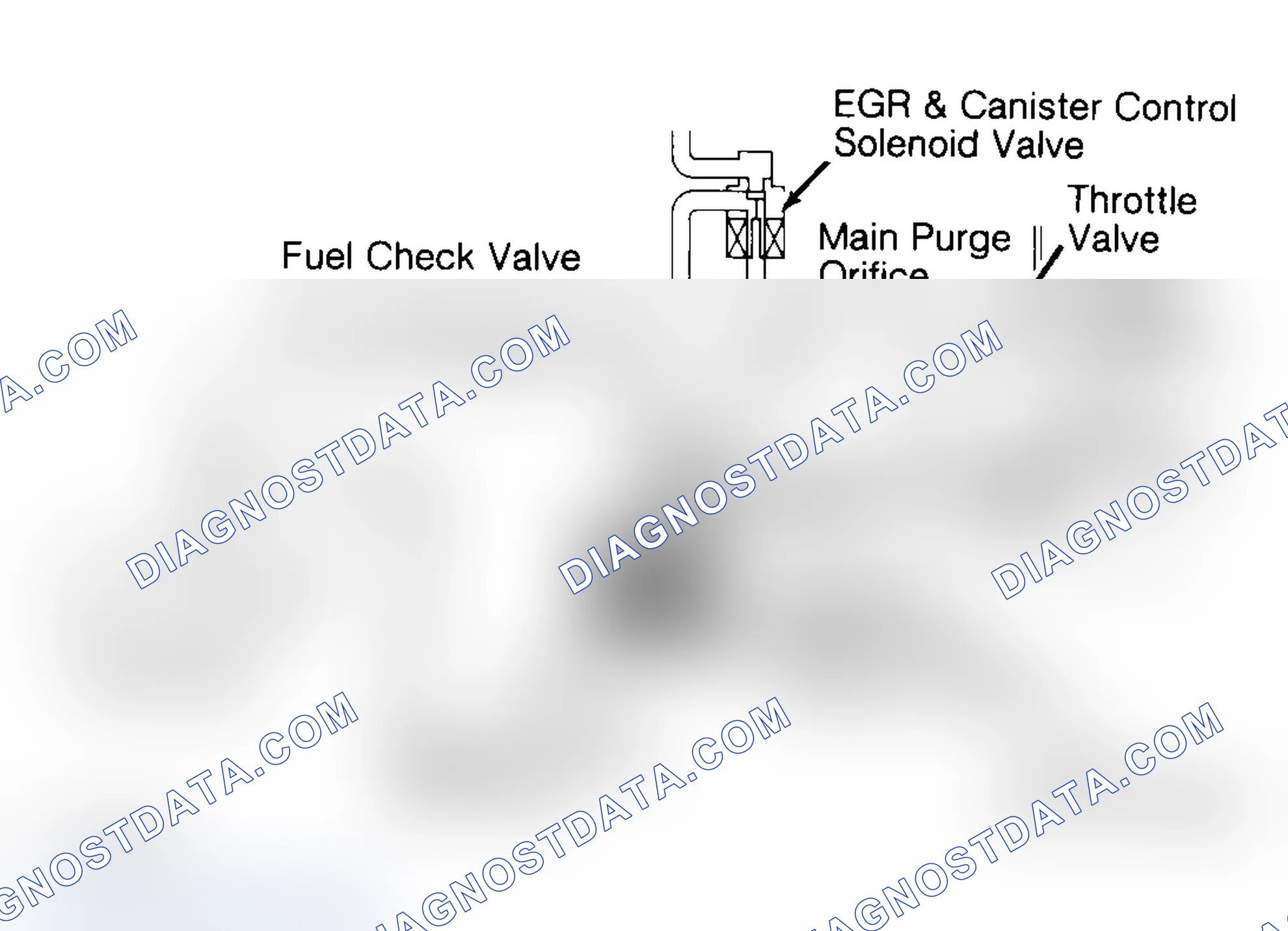 Scheme 9: Canister Purge Control (NX, Sentra & 240SX)