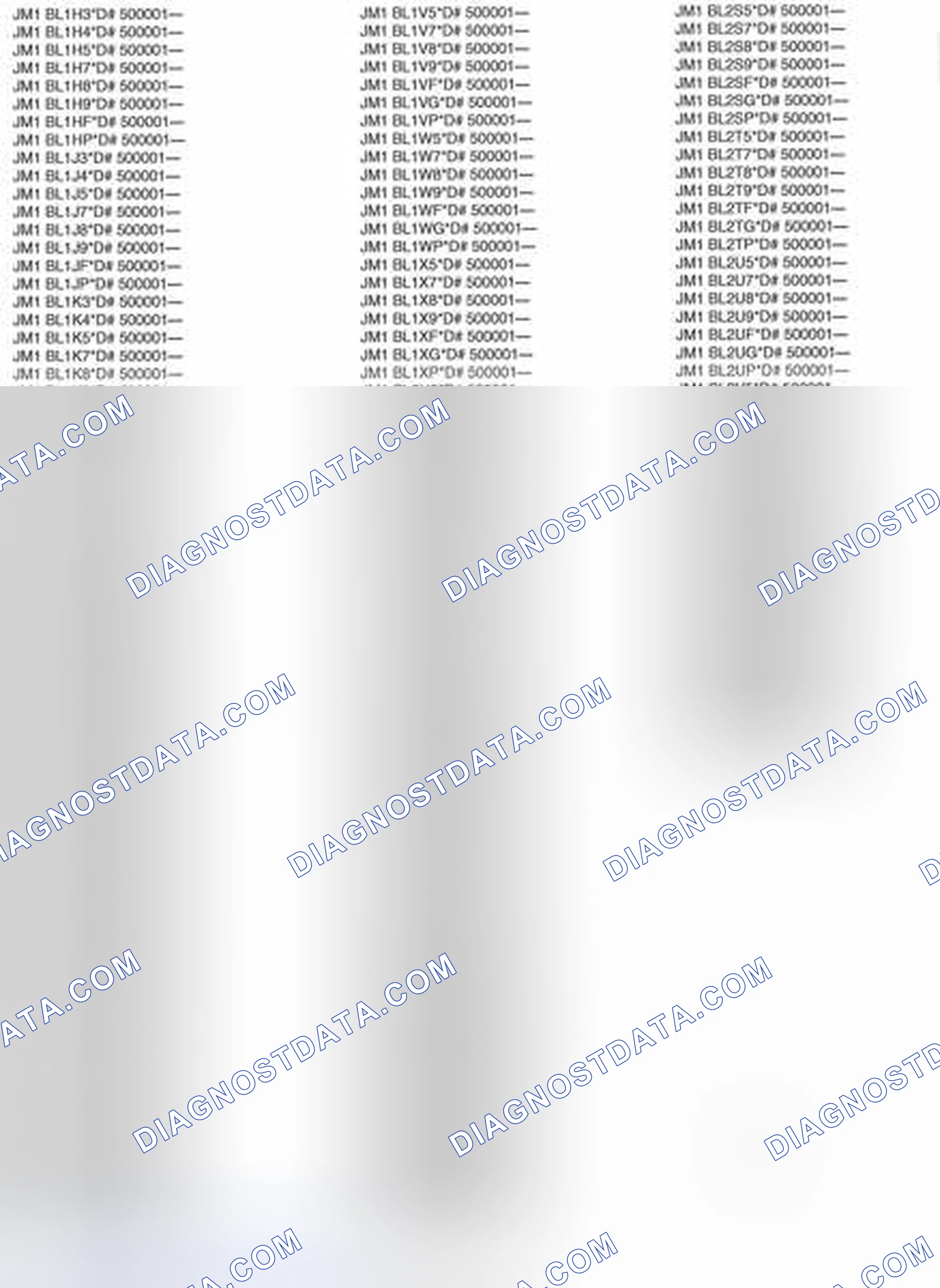 Scheme 2: VEHICLE IDENTIFICATION NUMBER (VIN)