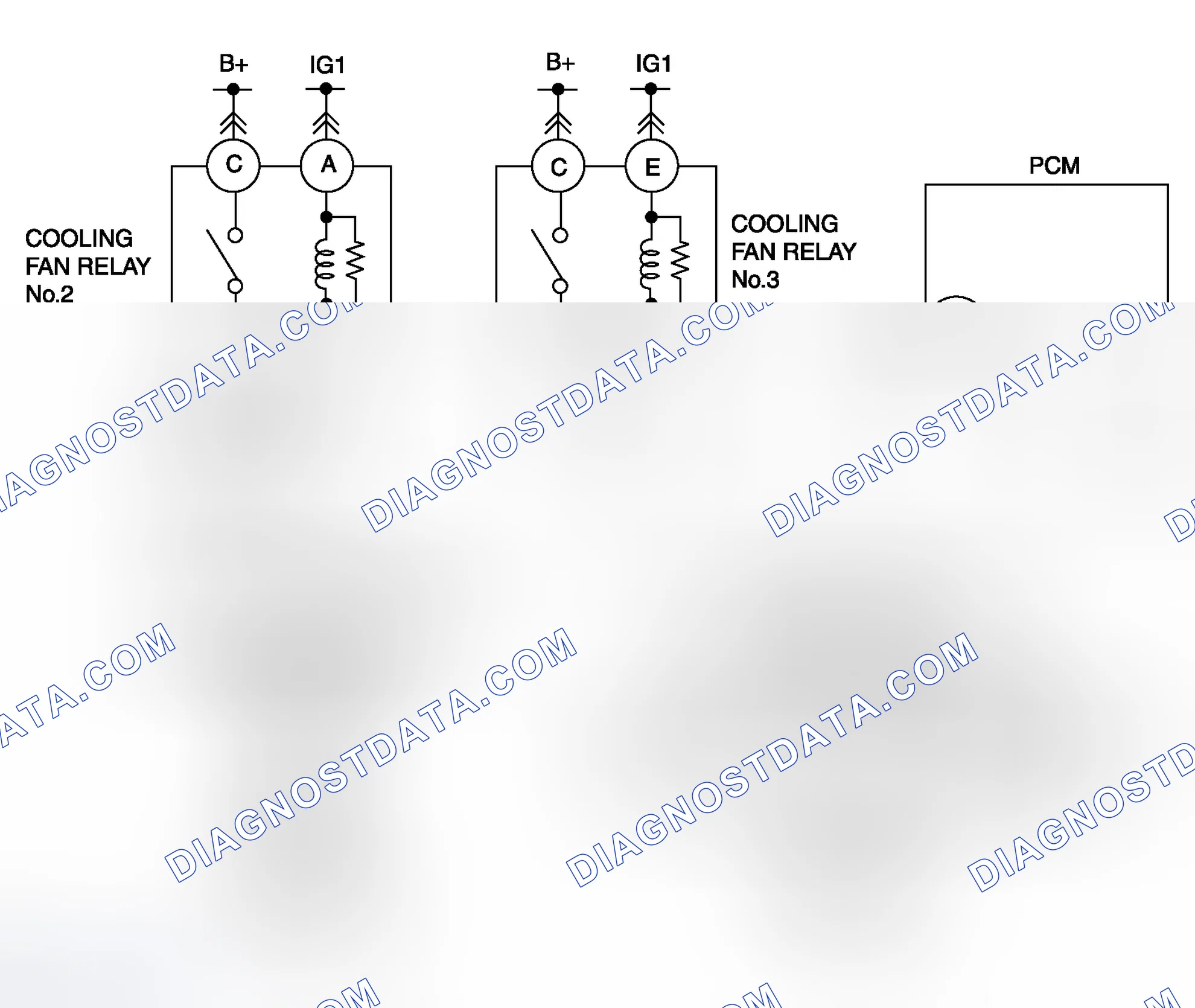Scheme 30: Diagnostic Procedure