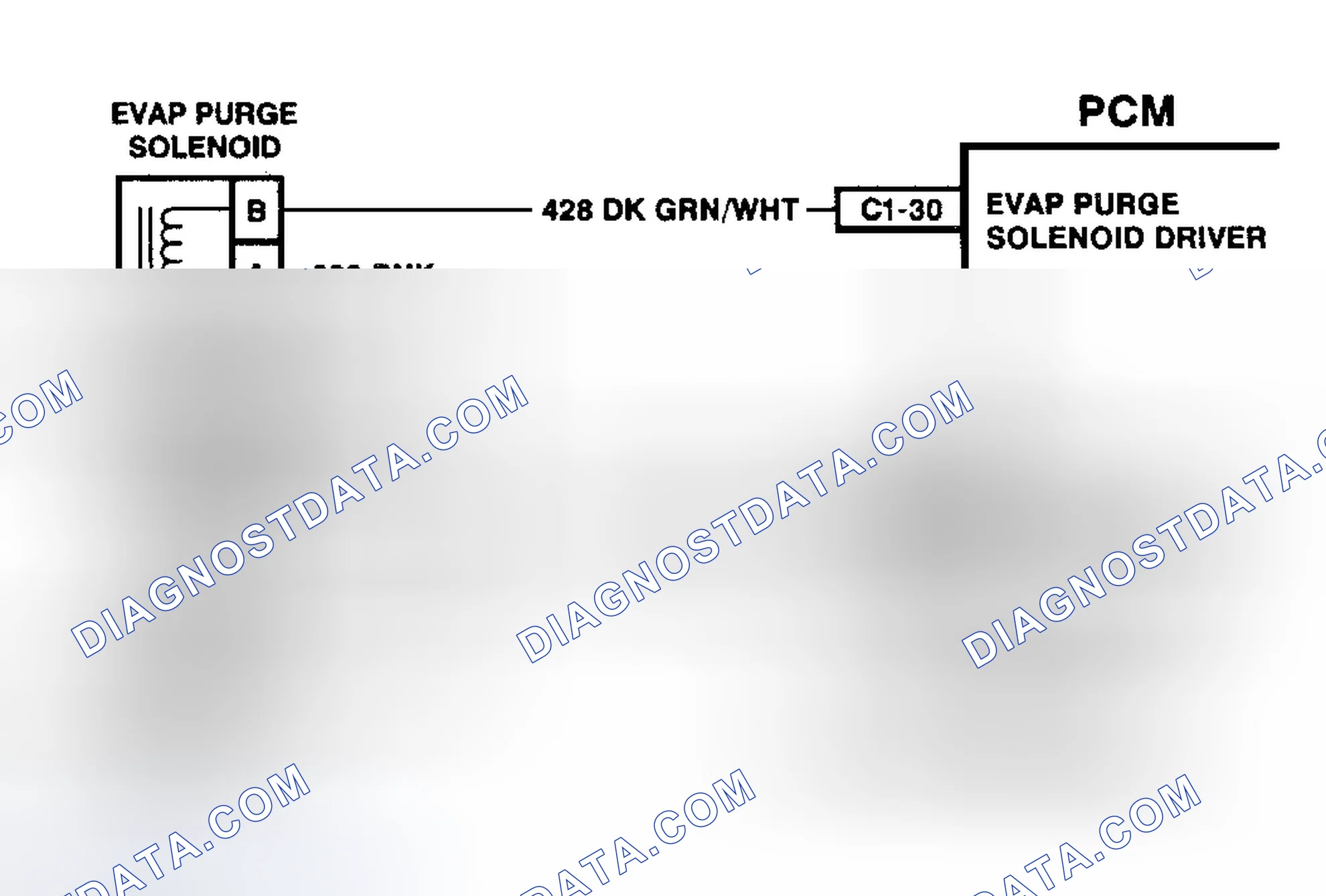 Scheme 14: DTC P0441 Schematic