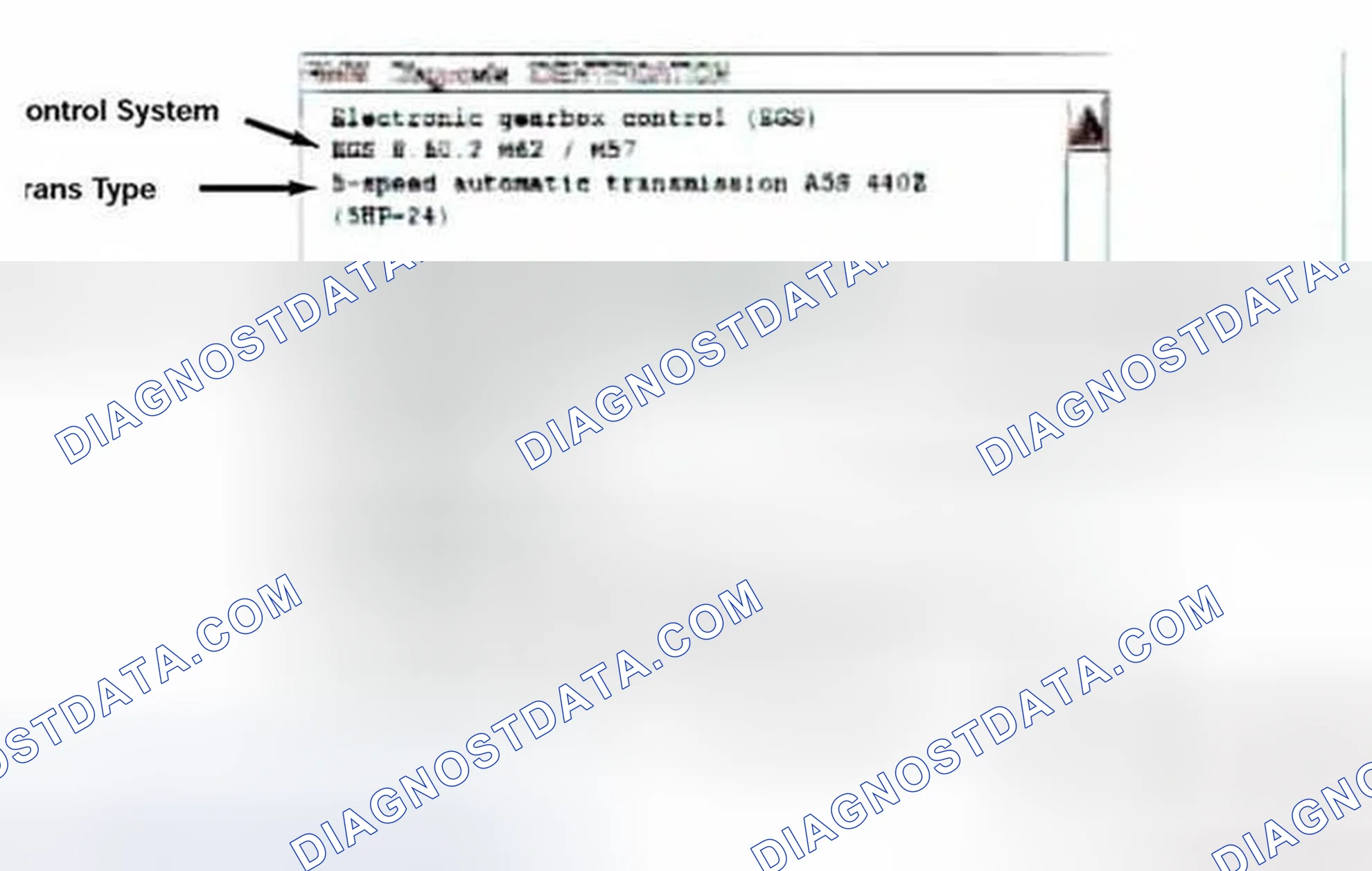 Scheme 123: Identification Page