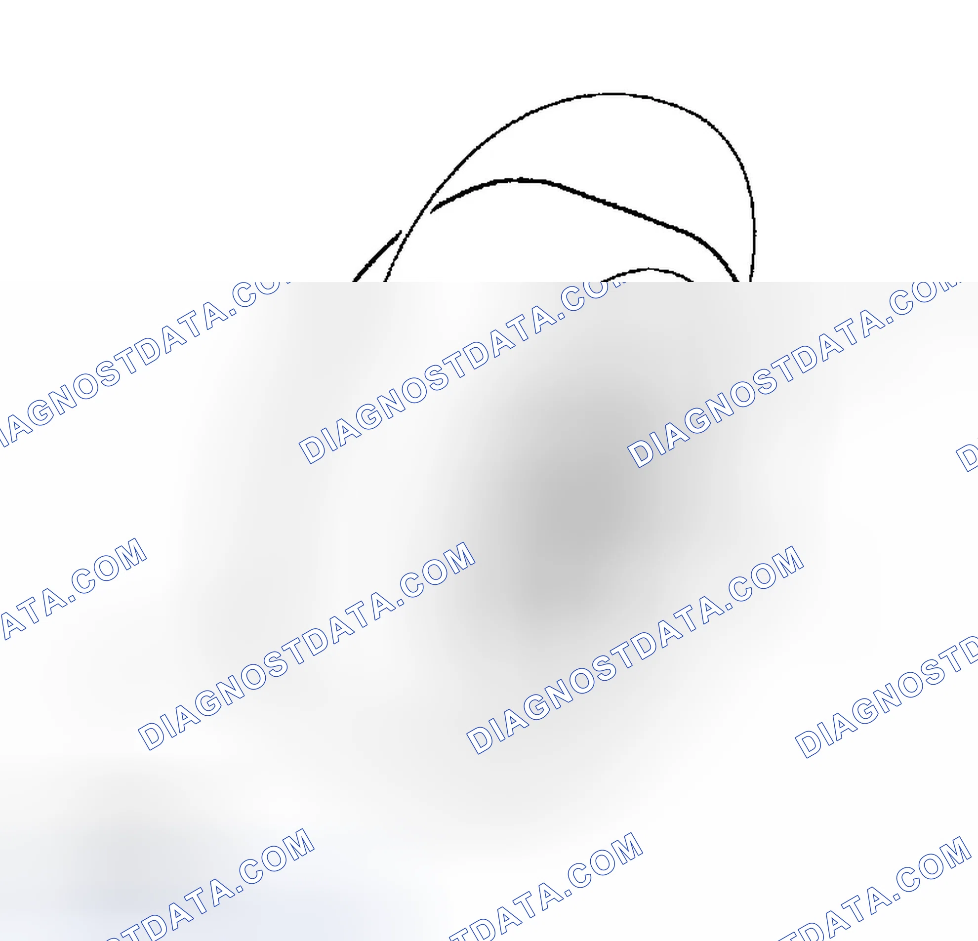 Scheme 15: TIGHTENING WHEEL NUT