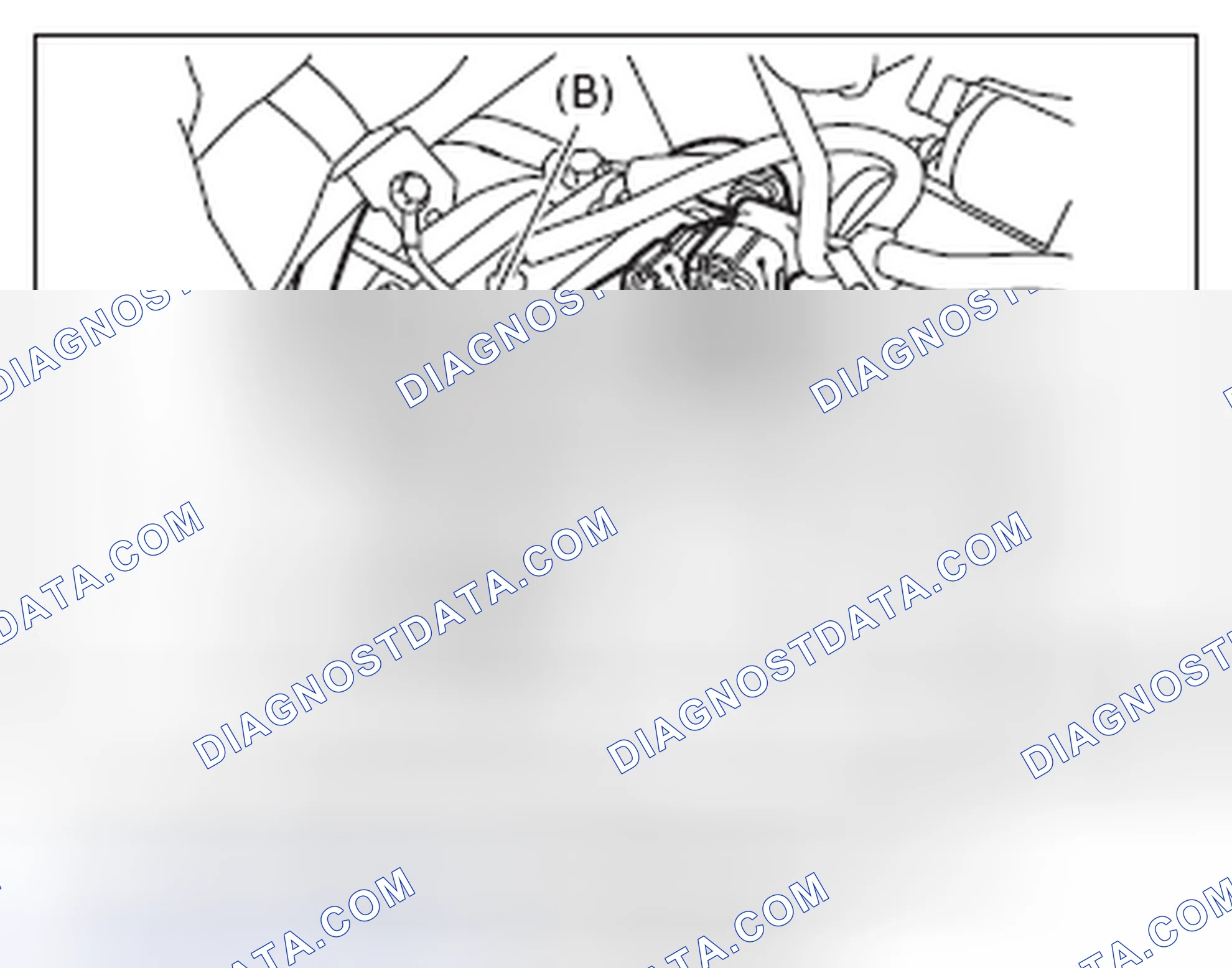 Scheme 245