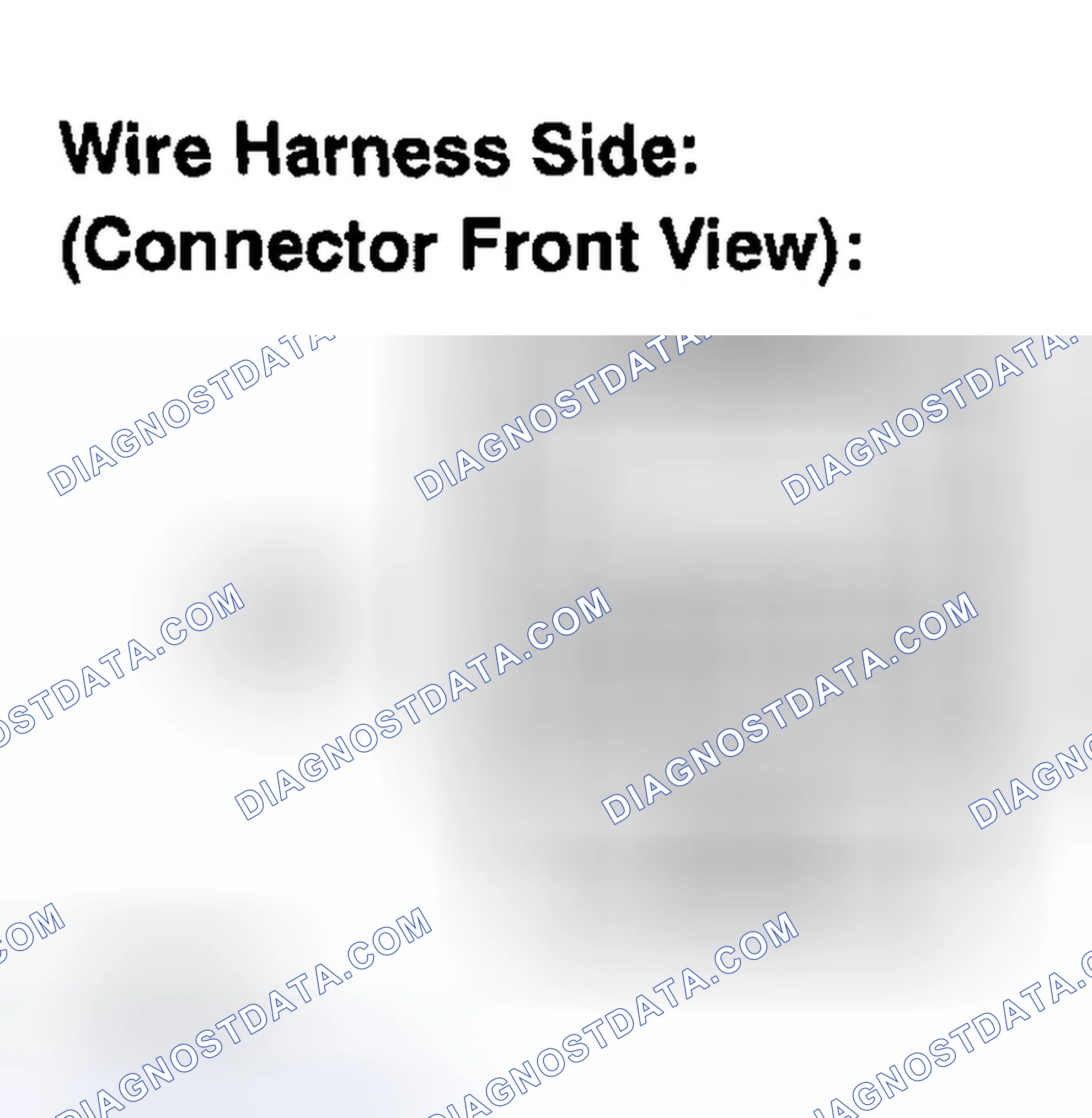 Scheme 290: INSPECTION PROCEDURE
