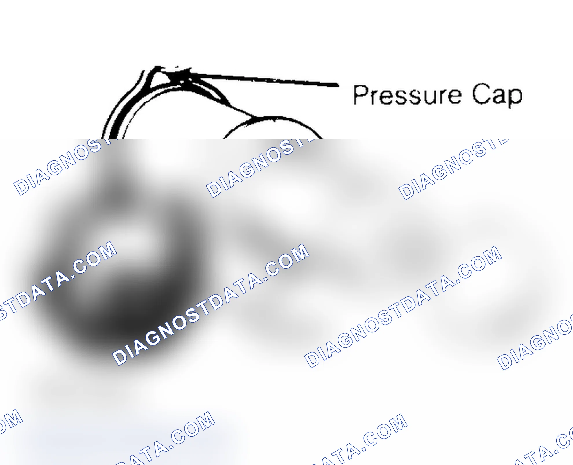 Scheme 2: Pressure Testing Radiator Cap