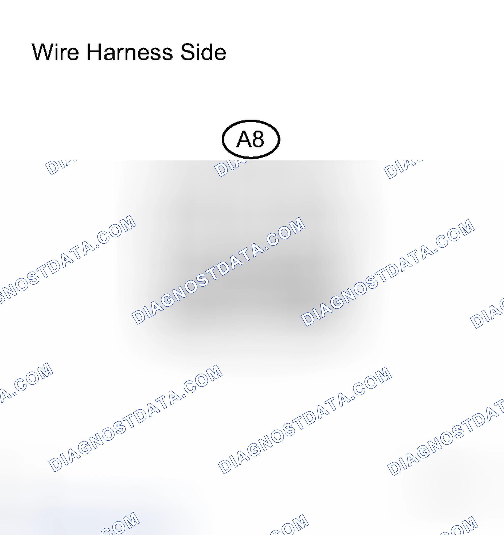 Scheme 91: INSPECTION PROCEDURE