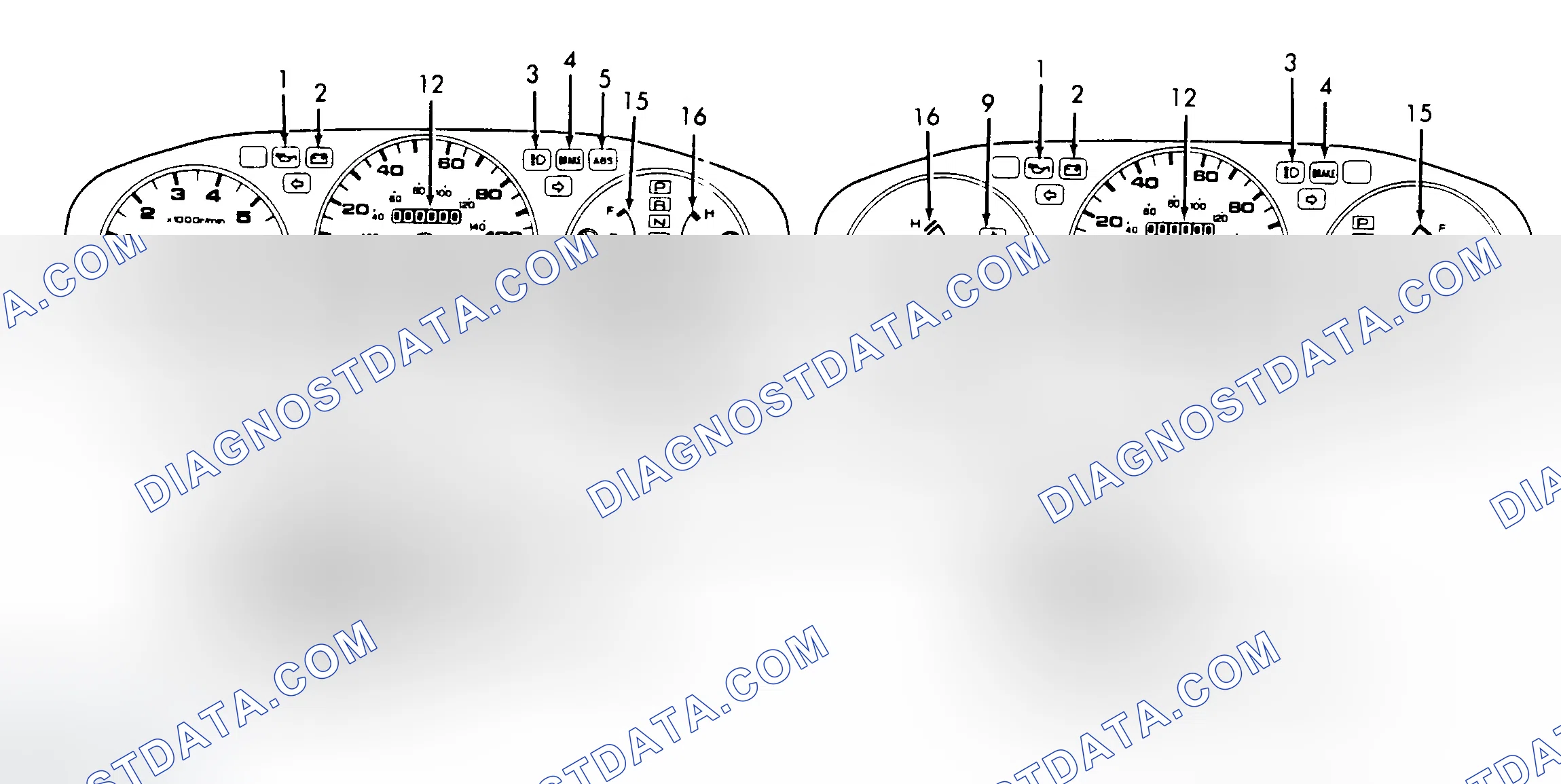 Scheme 5