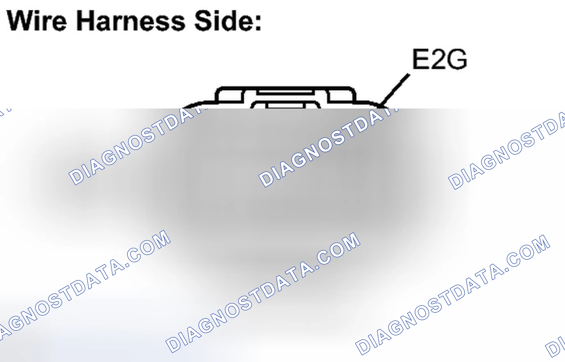 Scheme 481