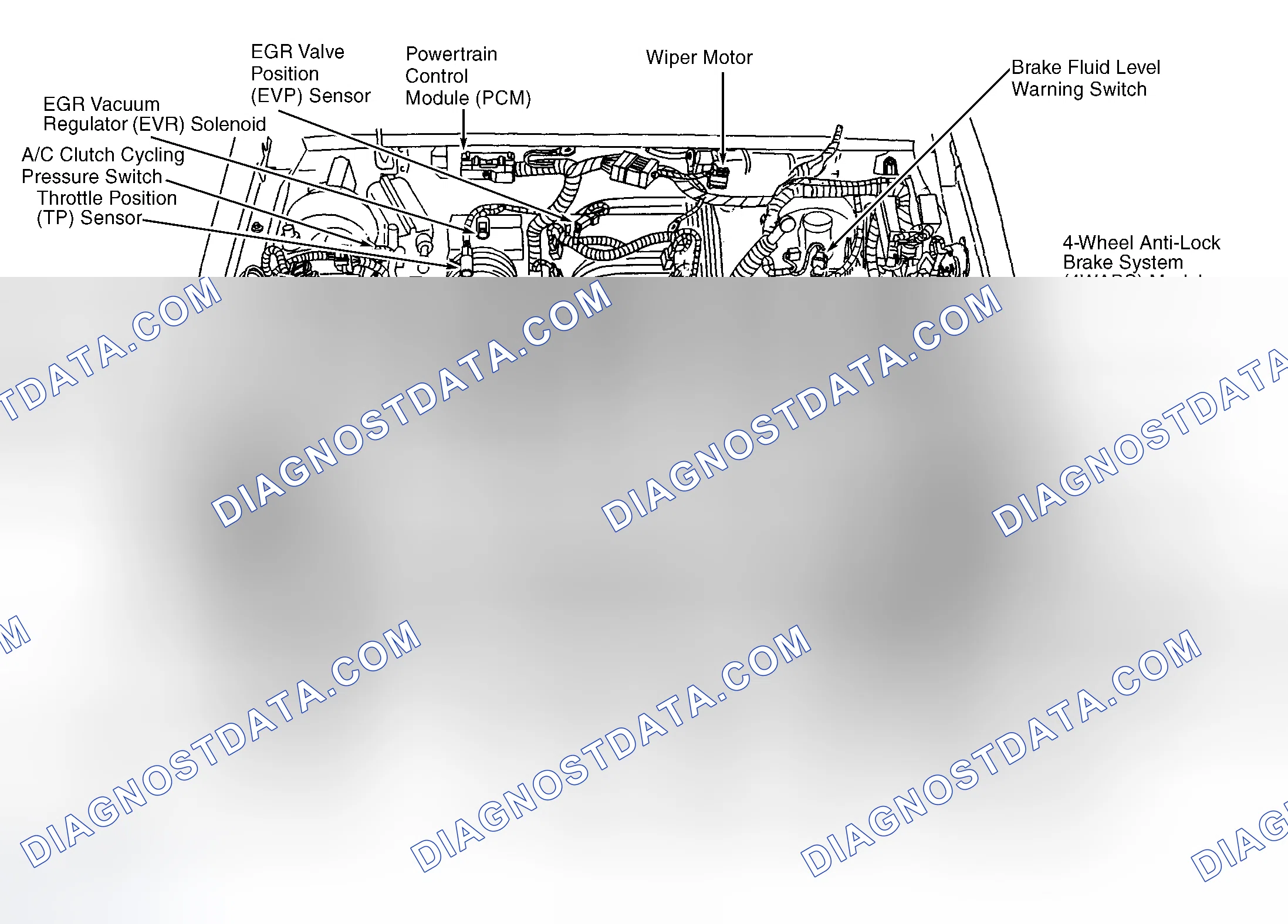 Scheme 4: Engine Compartment (5.0L)