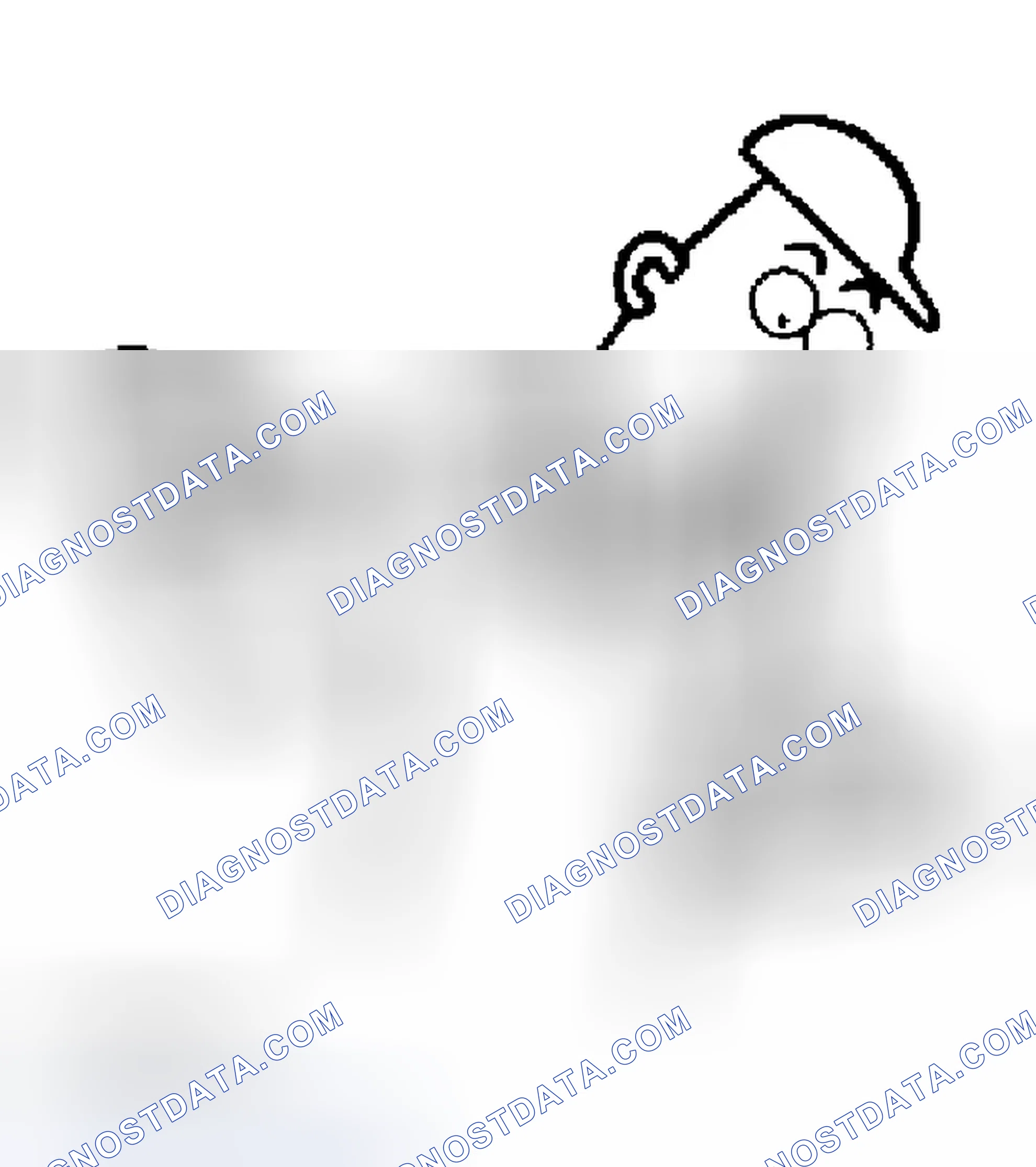 Scheme 602: DIAGNOSTIC PROCEDURE