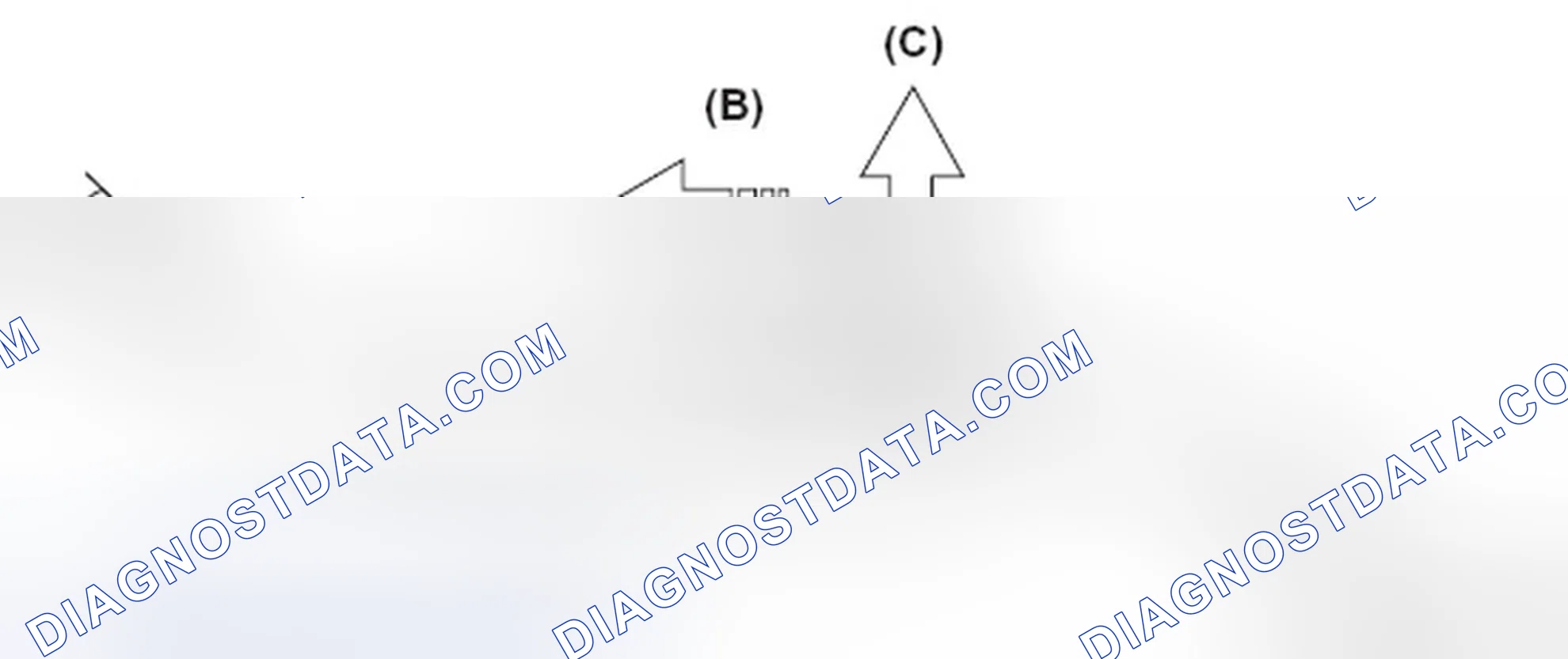 Scheme 218