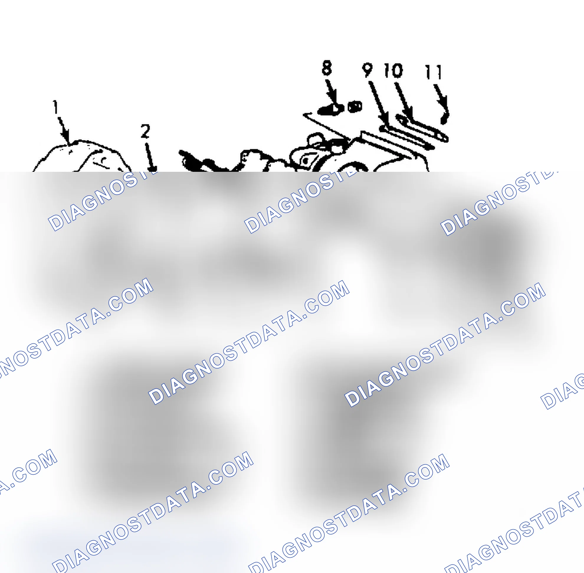 Scheme 10: Exploded View of Front Disc Brake Caliper (Raider)