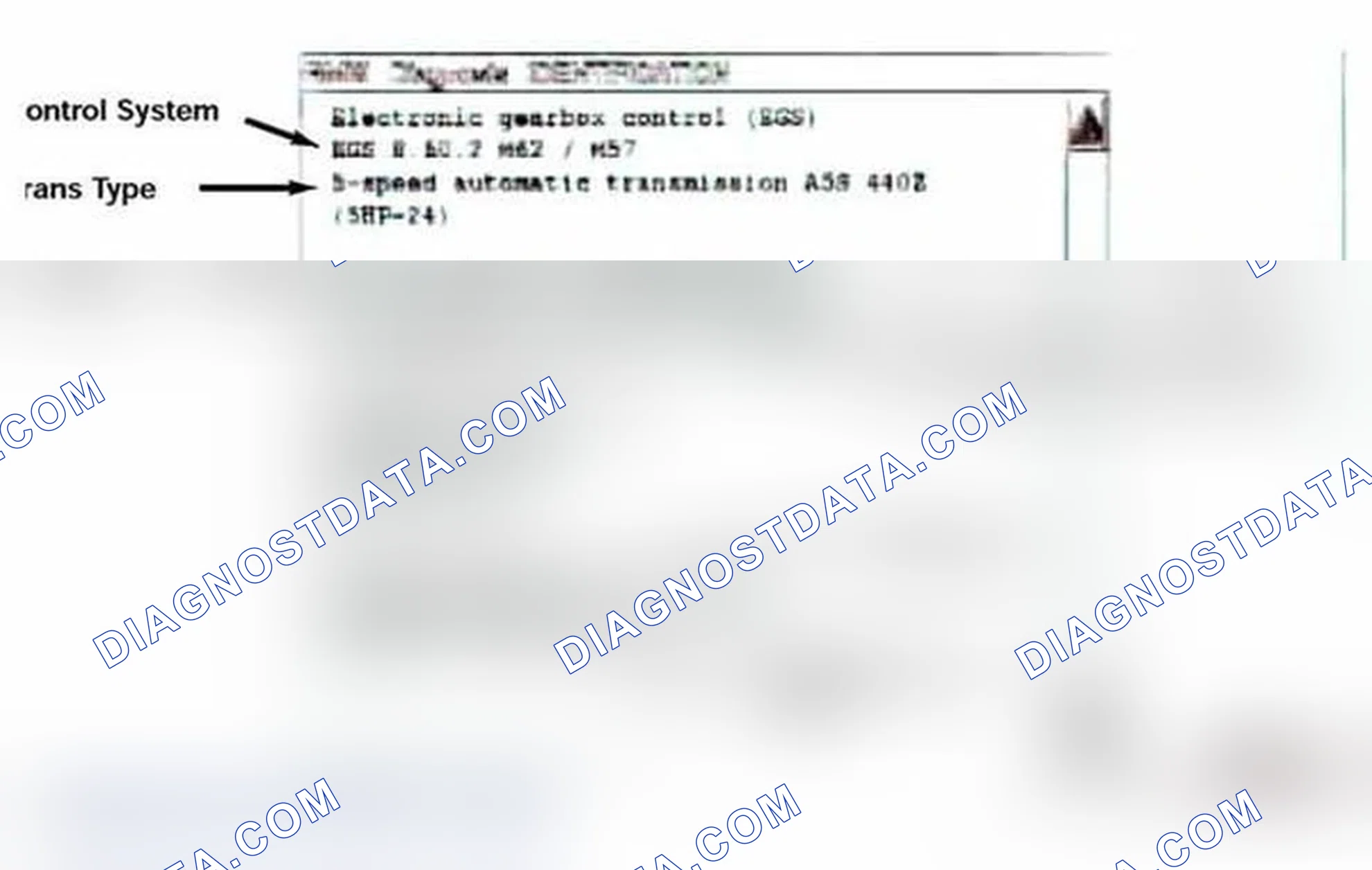 Scheme 425: Identification Page