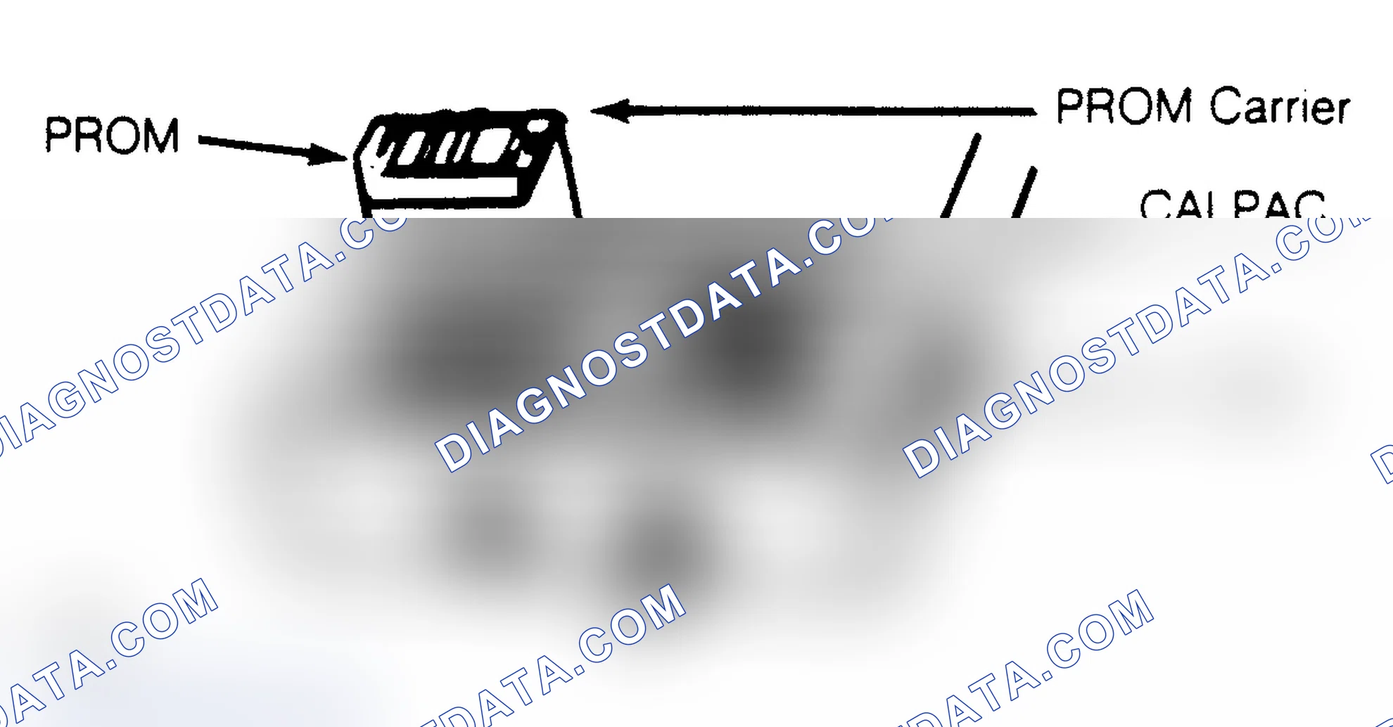 Scheme 3: CALPAC