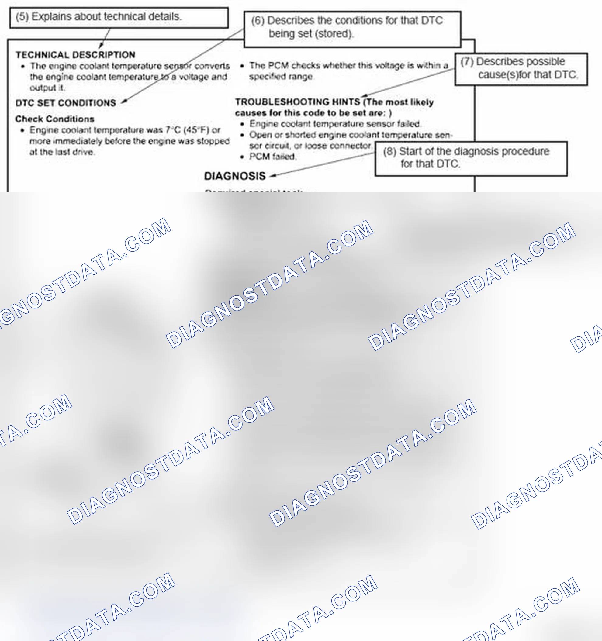 Scheme 4