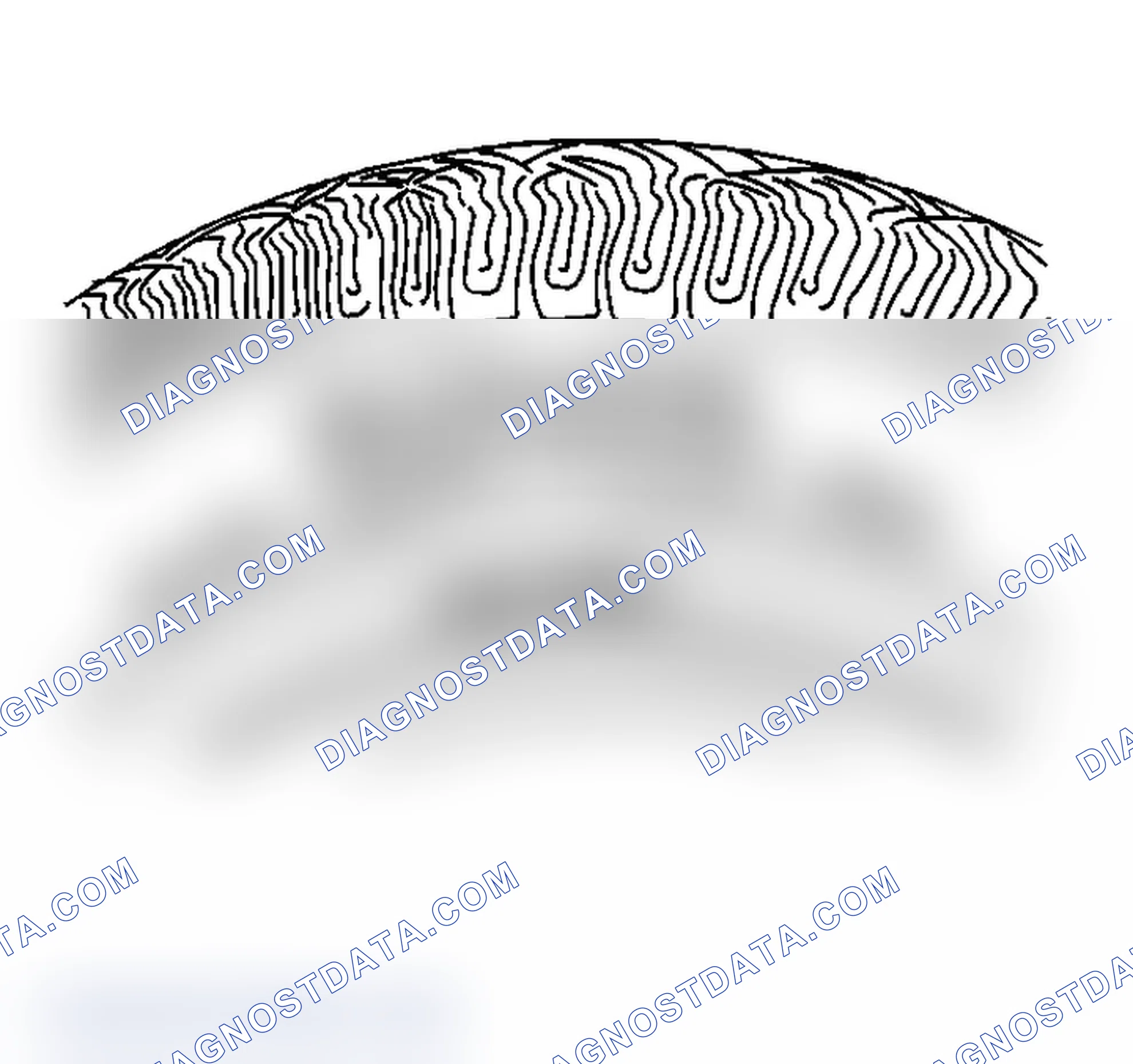Scheme 2: Tire and Wheel Inspection