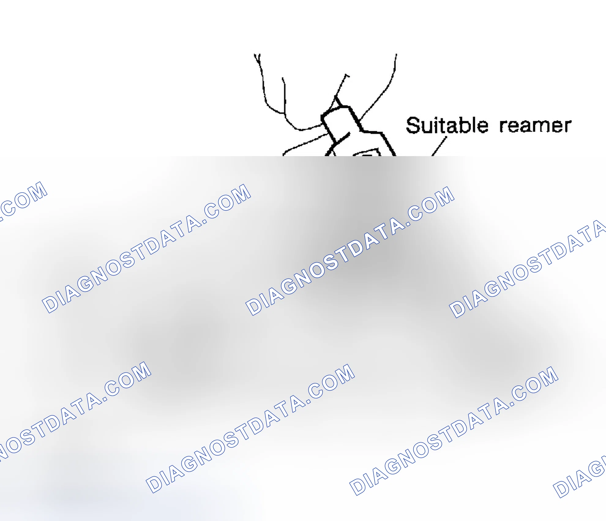 Scheme 218