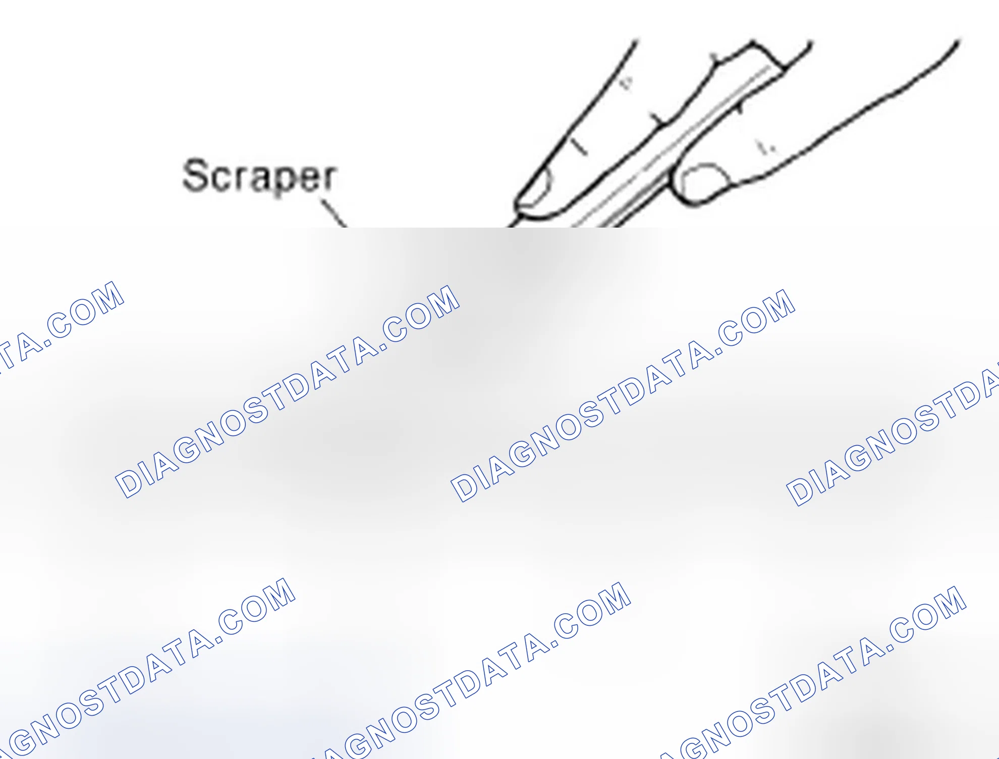 Scheme 2: LIQUID GASKET APPLICATION PROCEDURE