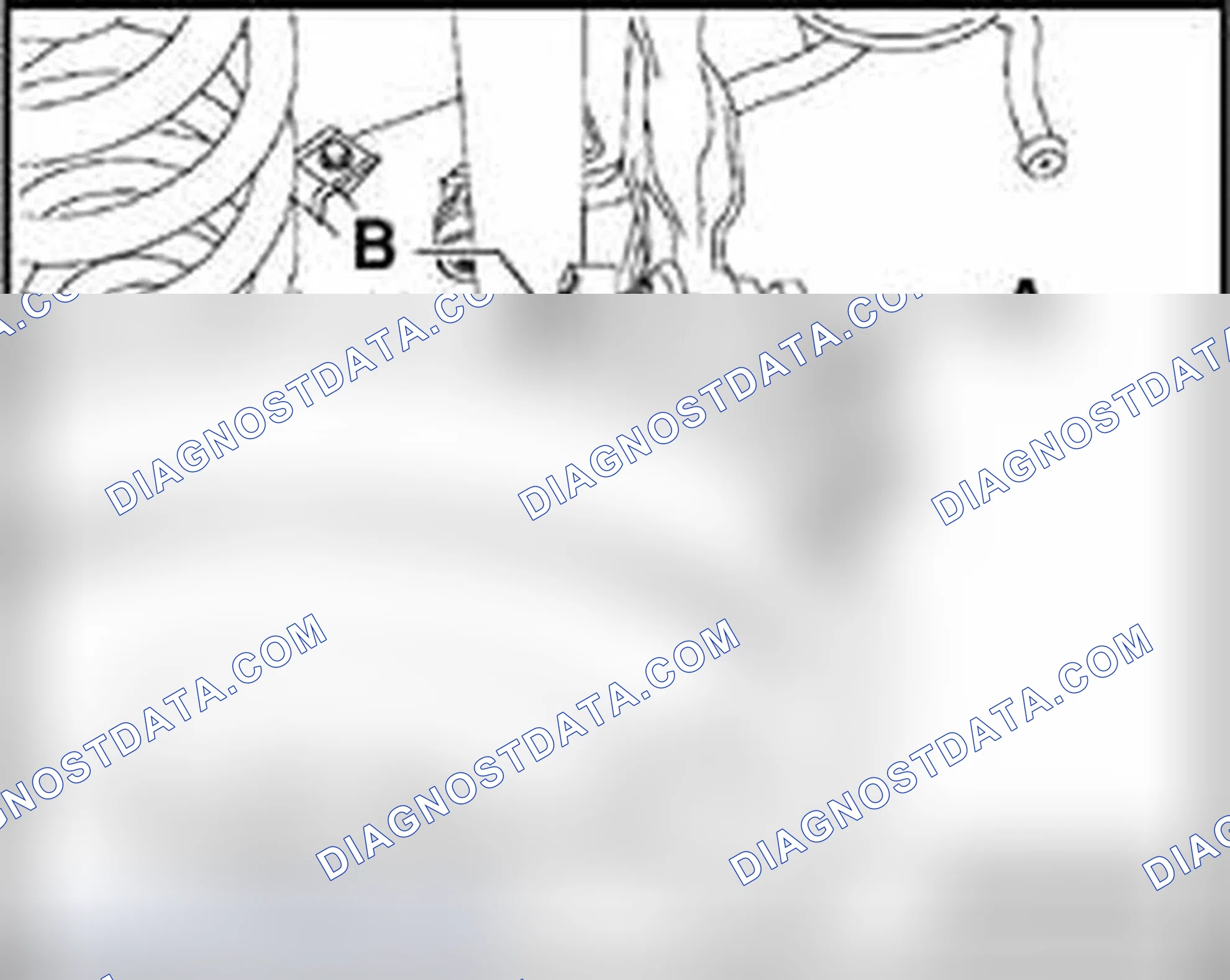 Scheme 303: Rear Axle Camber, adjusting