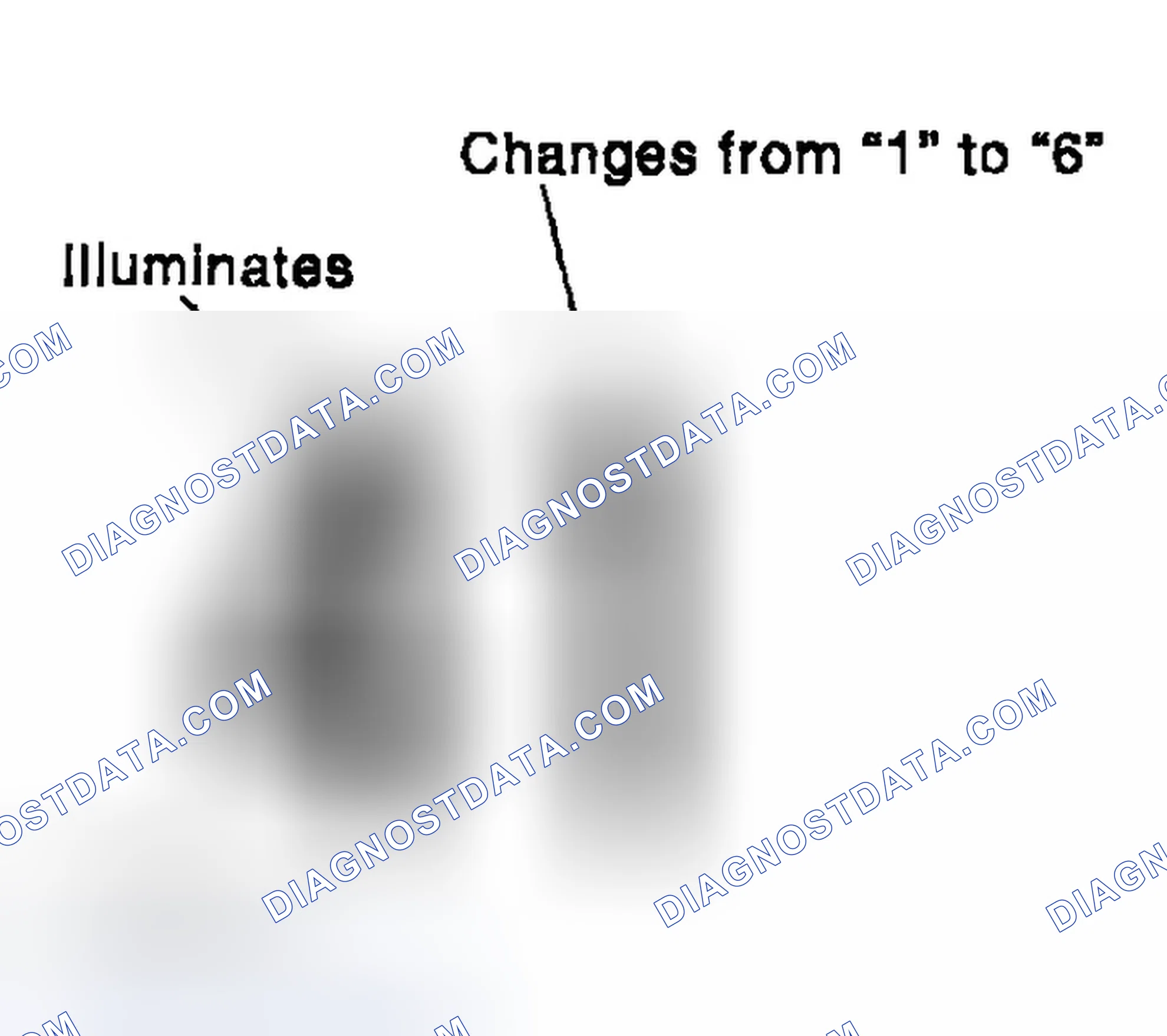 Scheme 13