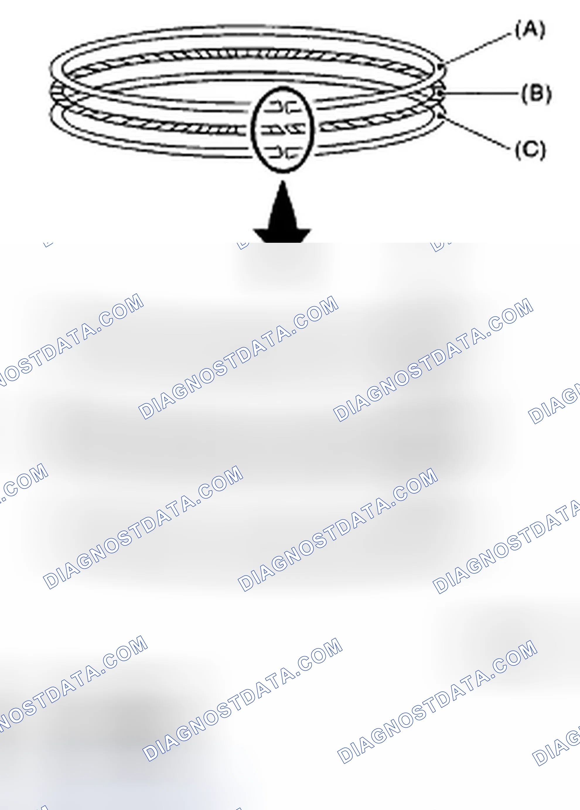 Scheme 261: PISTON RING