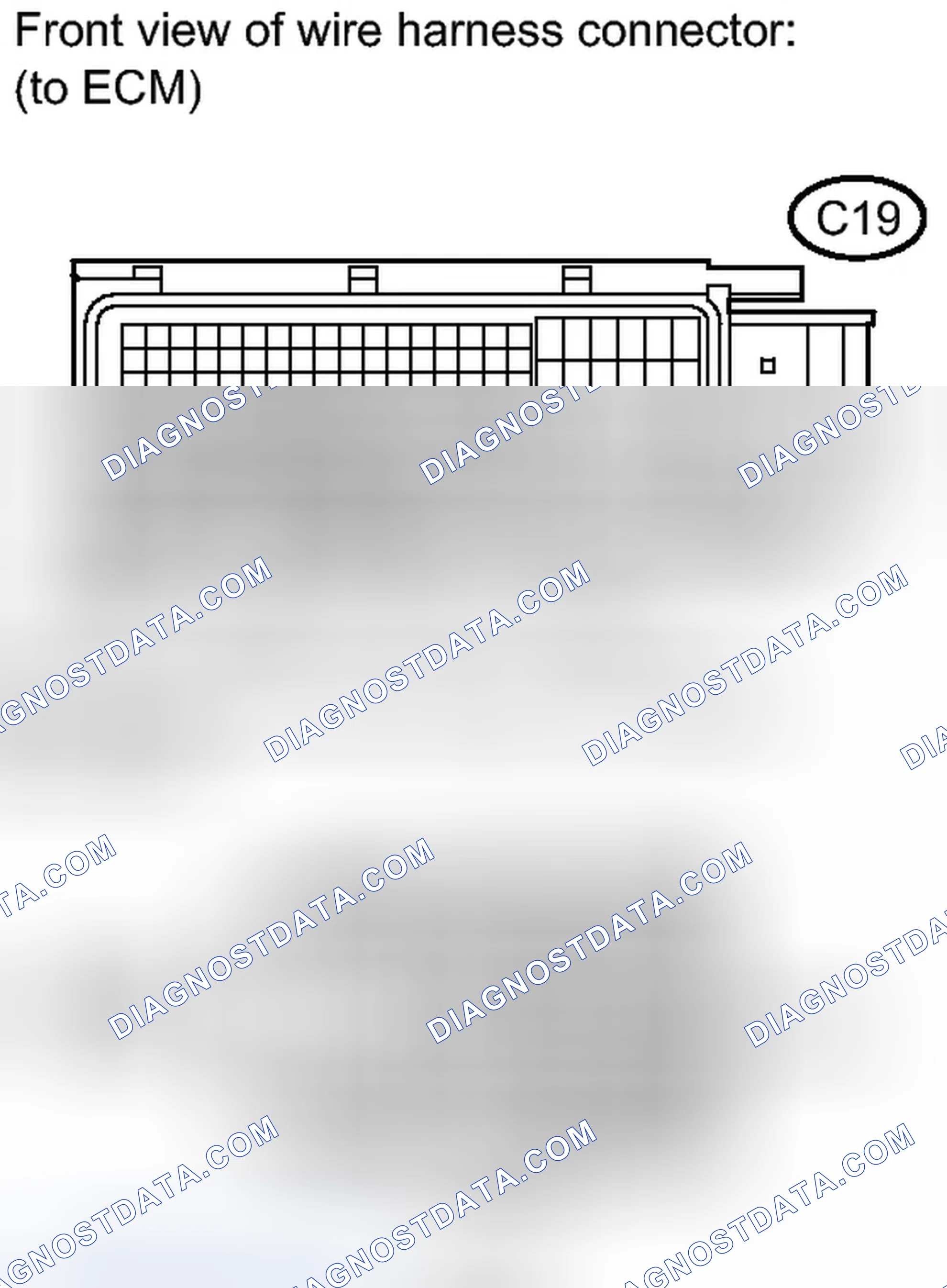 Scheme 265