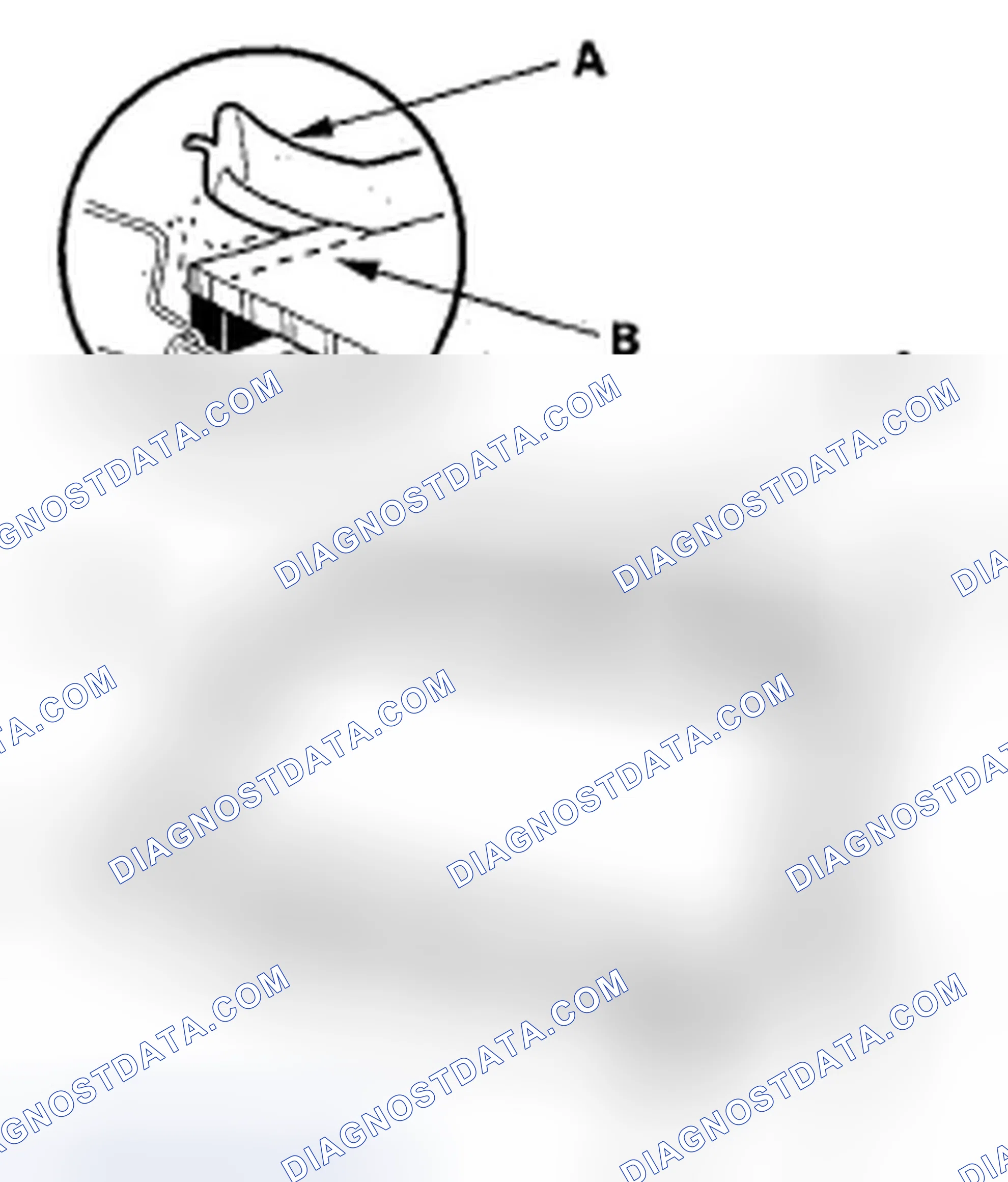 Scheme 17: Windshield Replacement