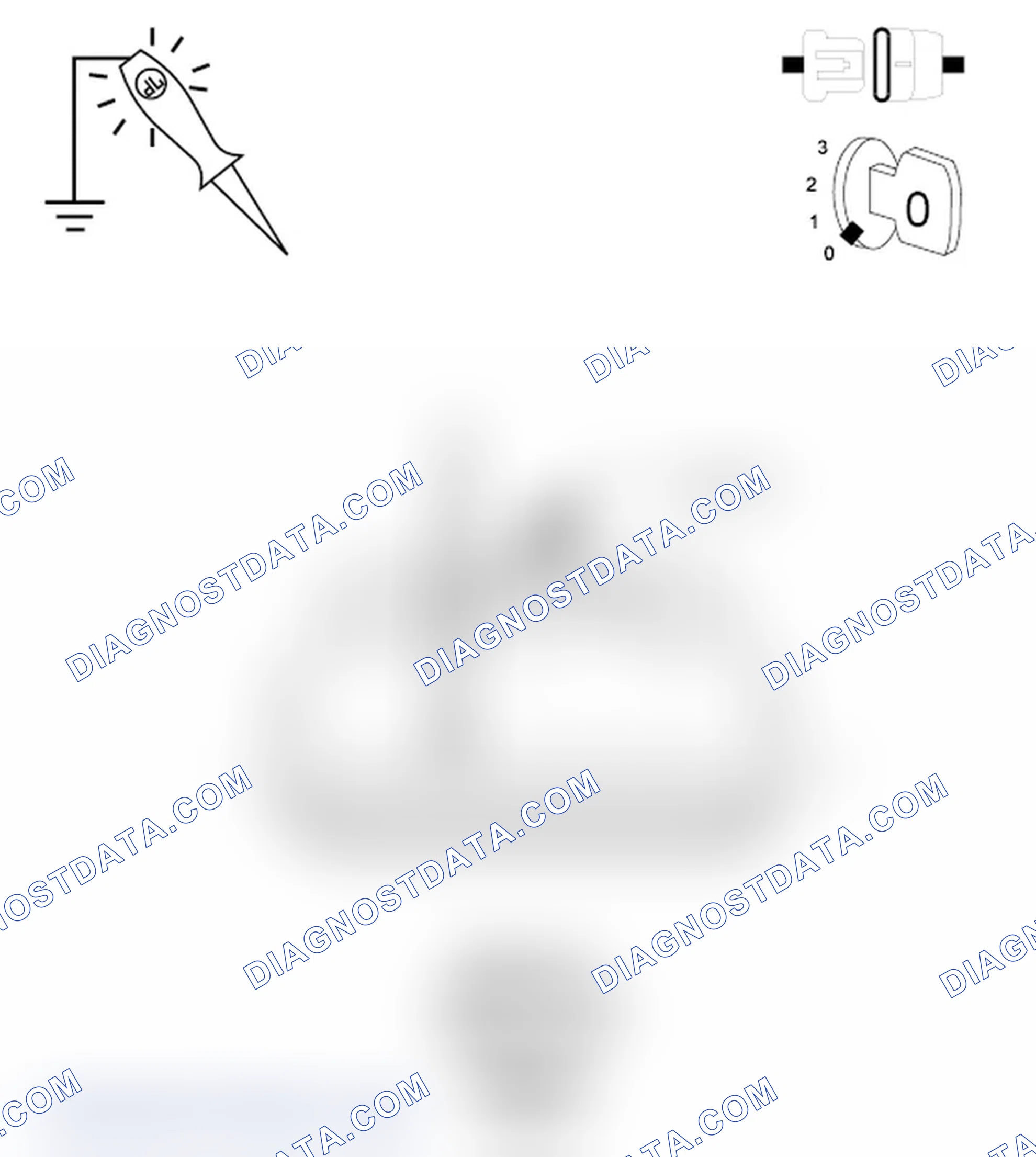 Scheme 21: Diagnostic Test