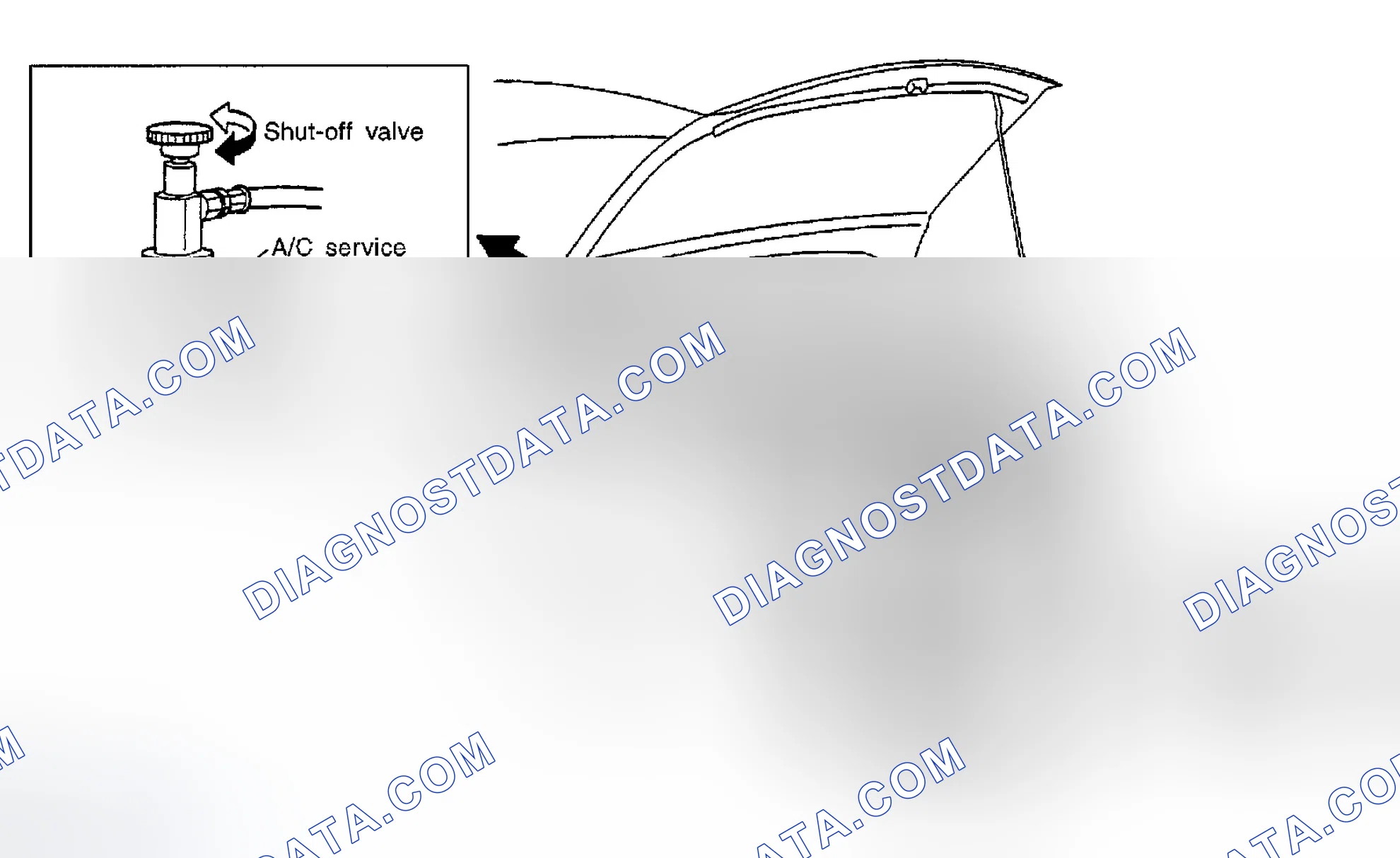 Scheme 262