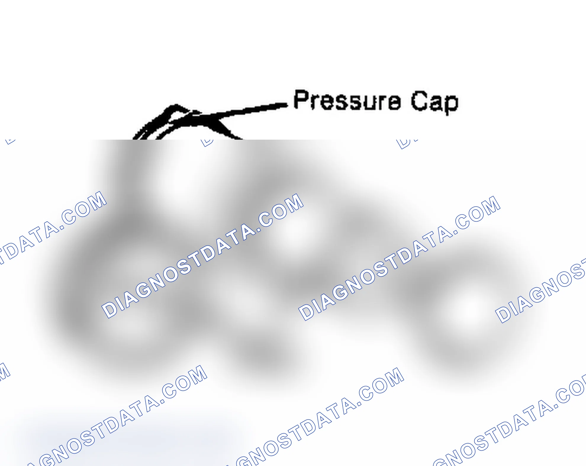 Scheme 2: Testing Radiator Pressure Cap Wet cap gasket before testing.