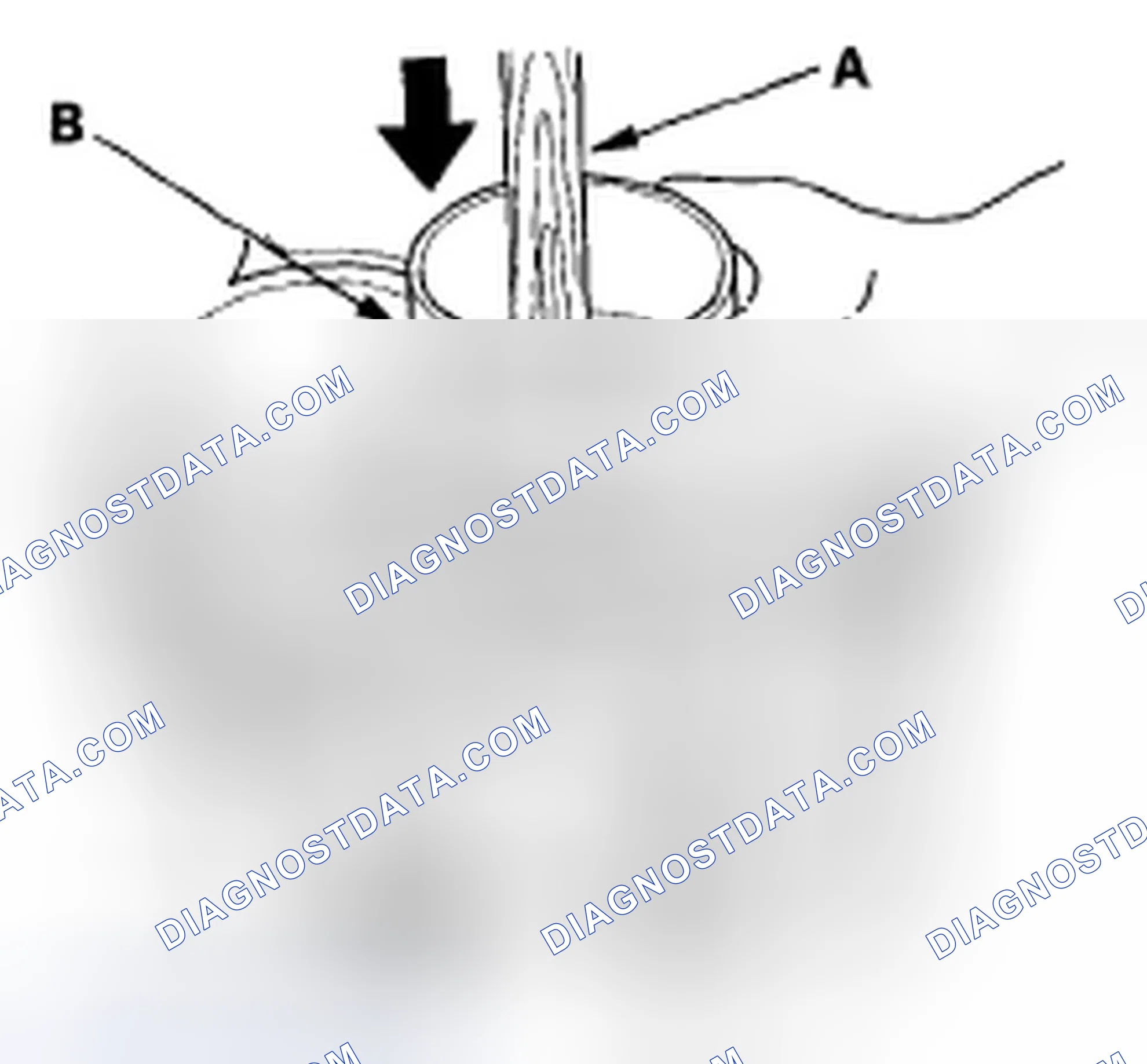 Scheme 330