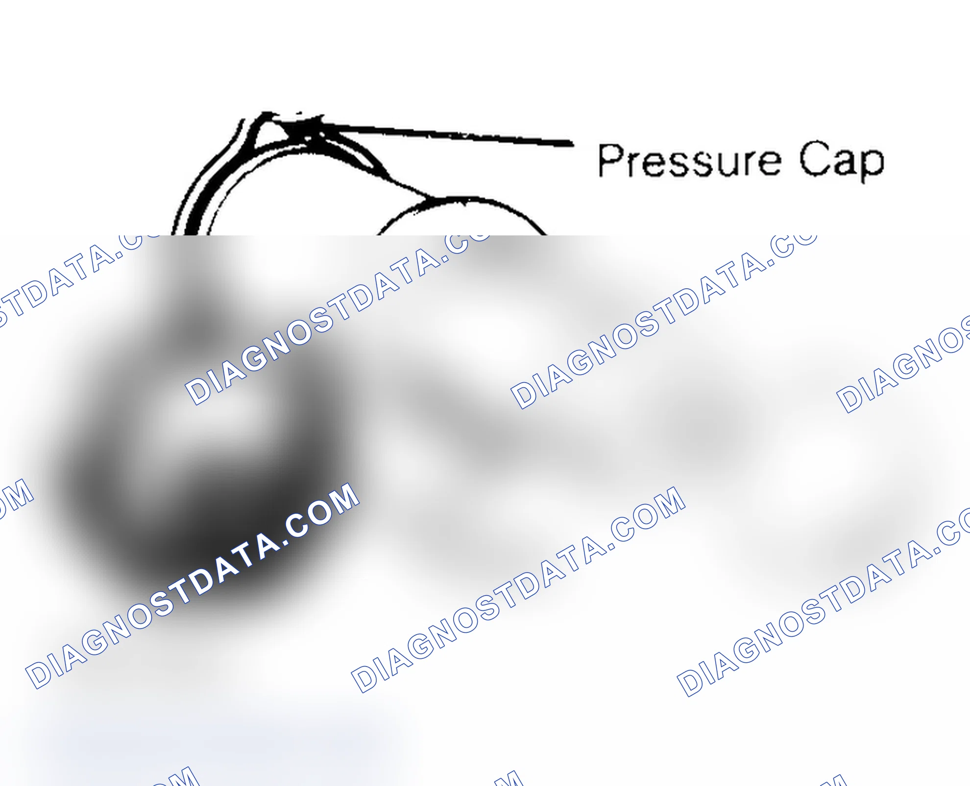 Scheme 2: Pressure Testing Radiator Cap