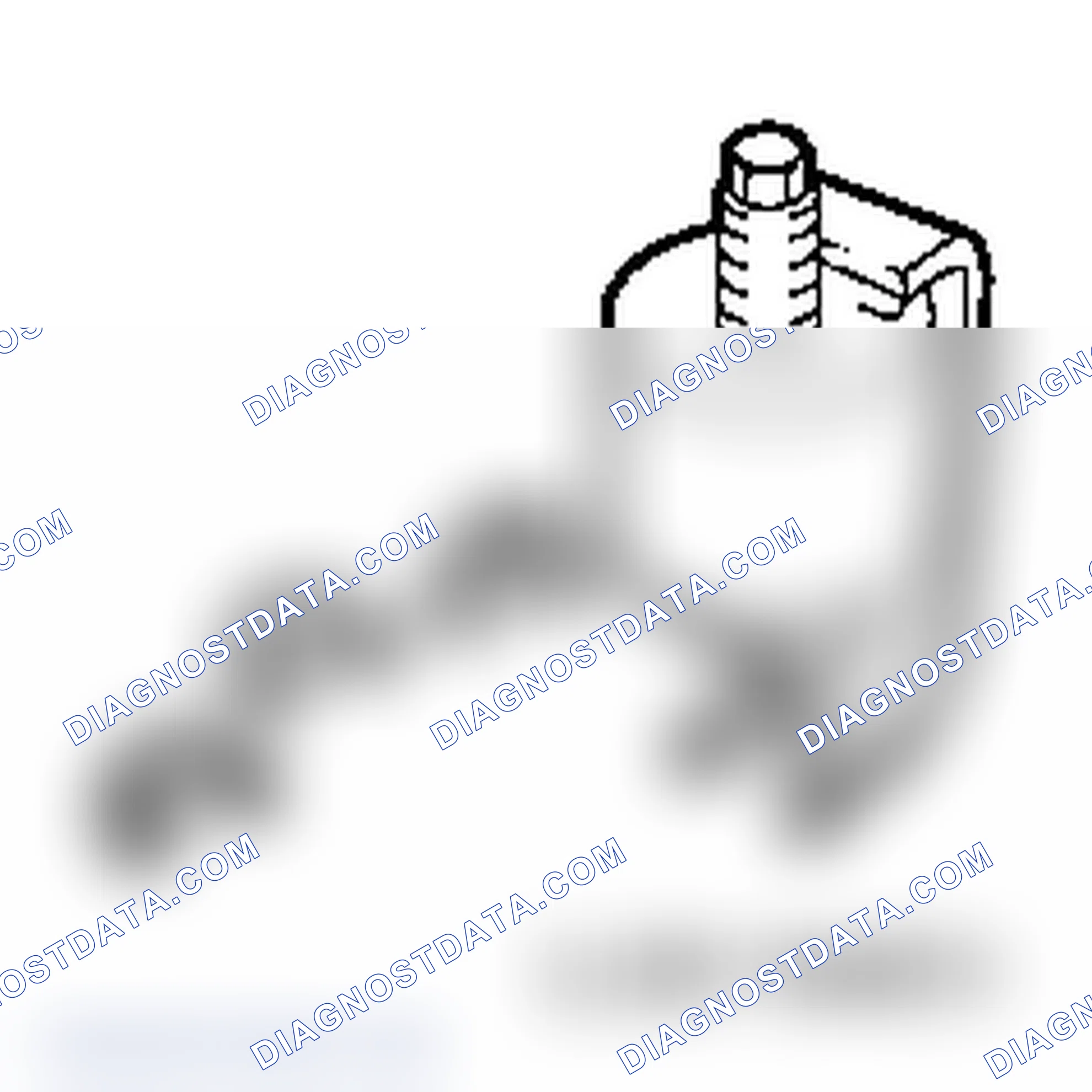 Special Service Tools