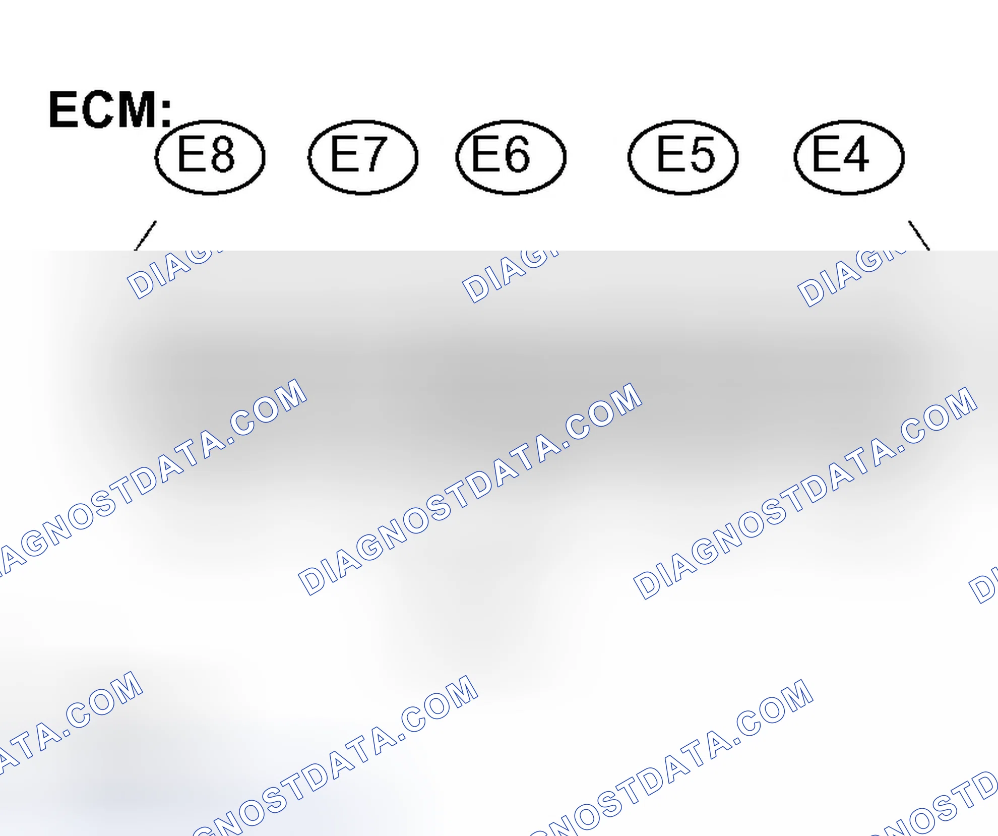 Scheme 344