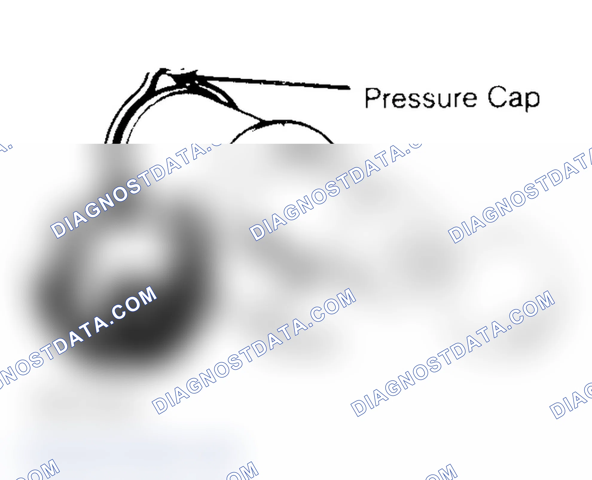 Scheme 2: Pressure Testing Radiator Cap