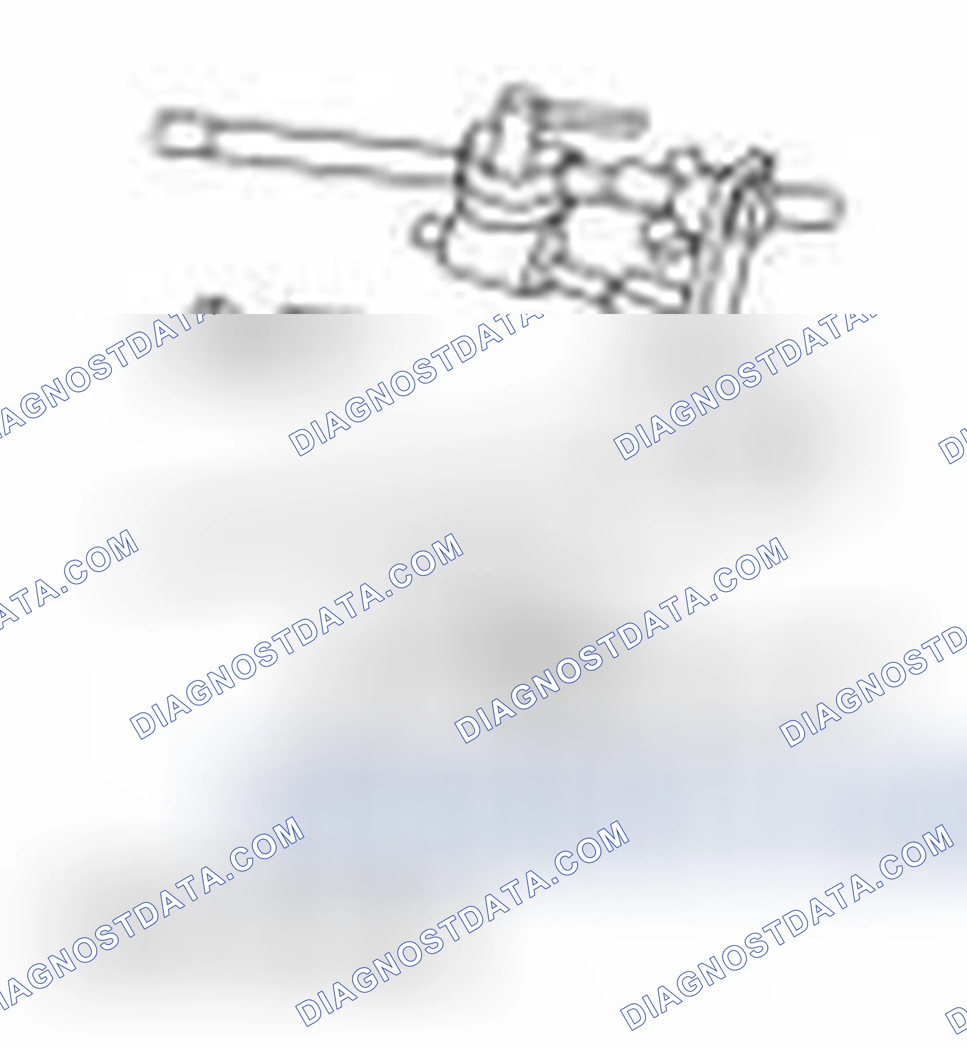 Scheme 2317: Special Tool(s)