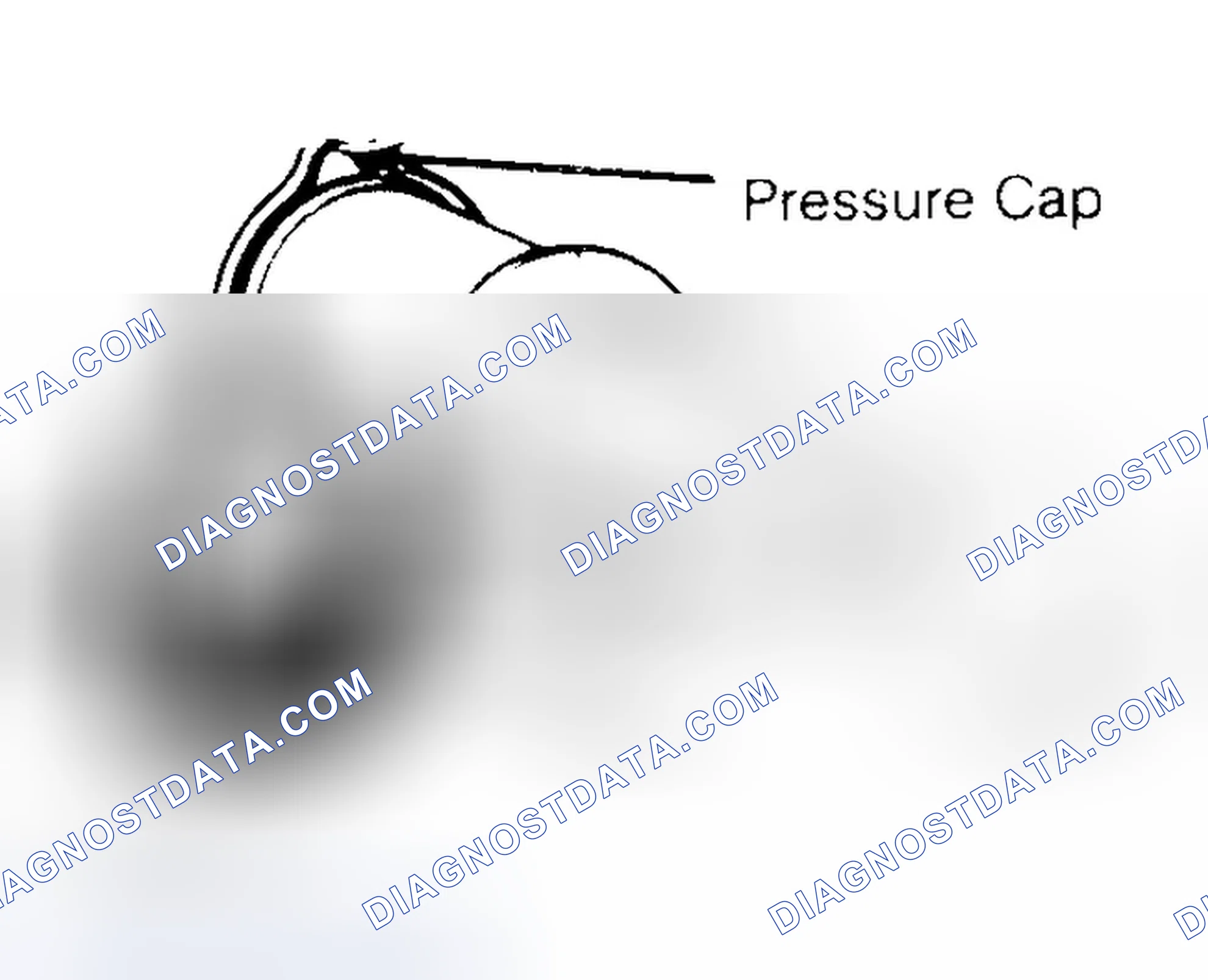 Scheme 2: Pressure Testing Radiator Cap