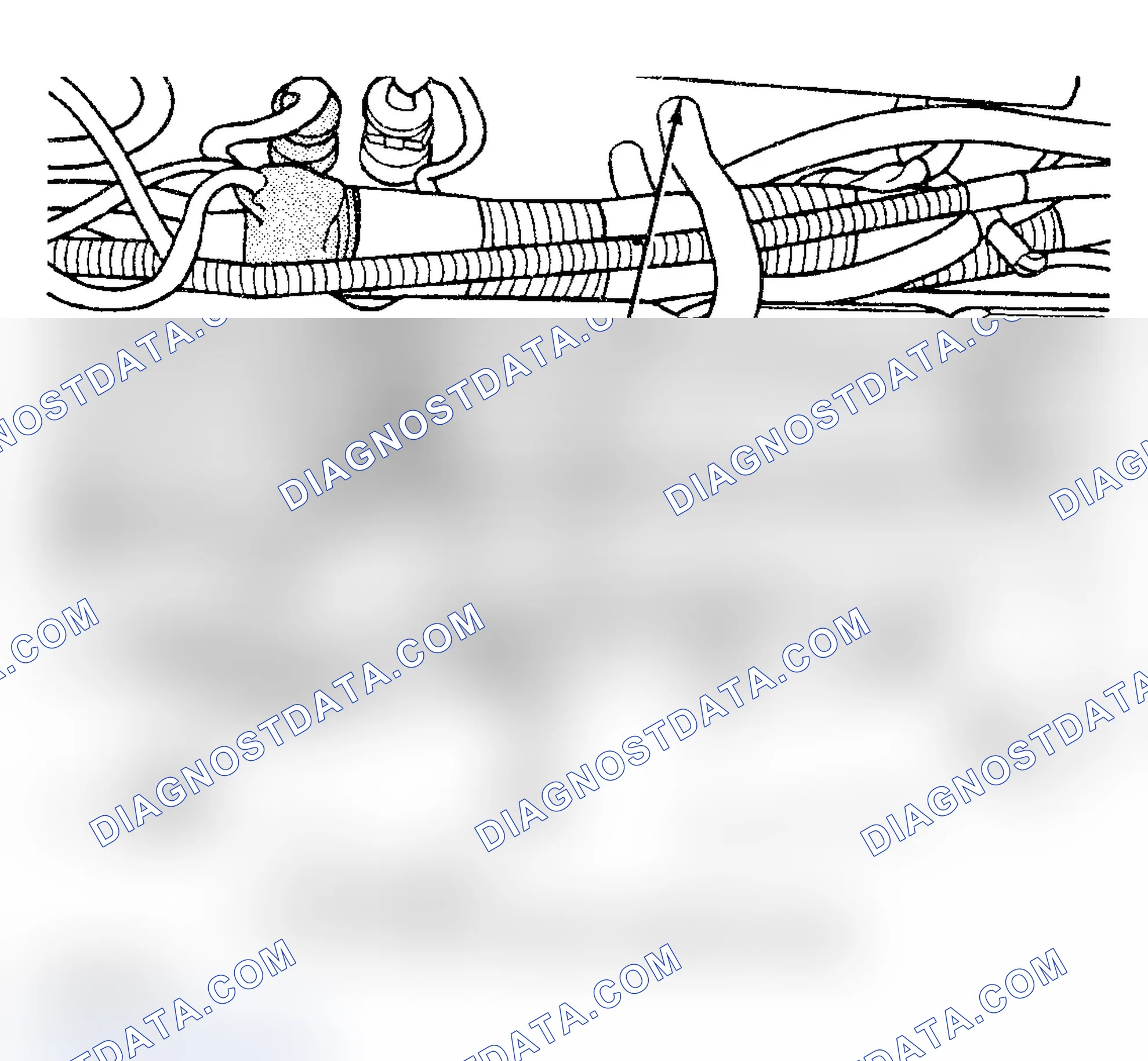 Scheme 1031