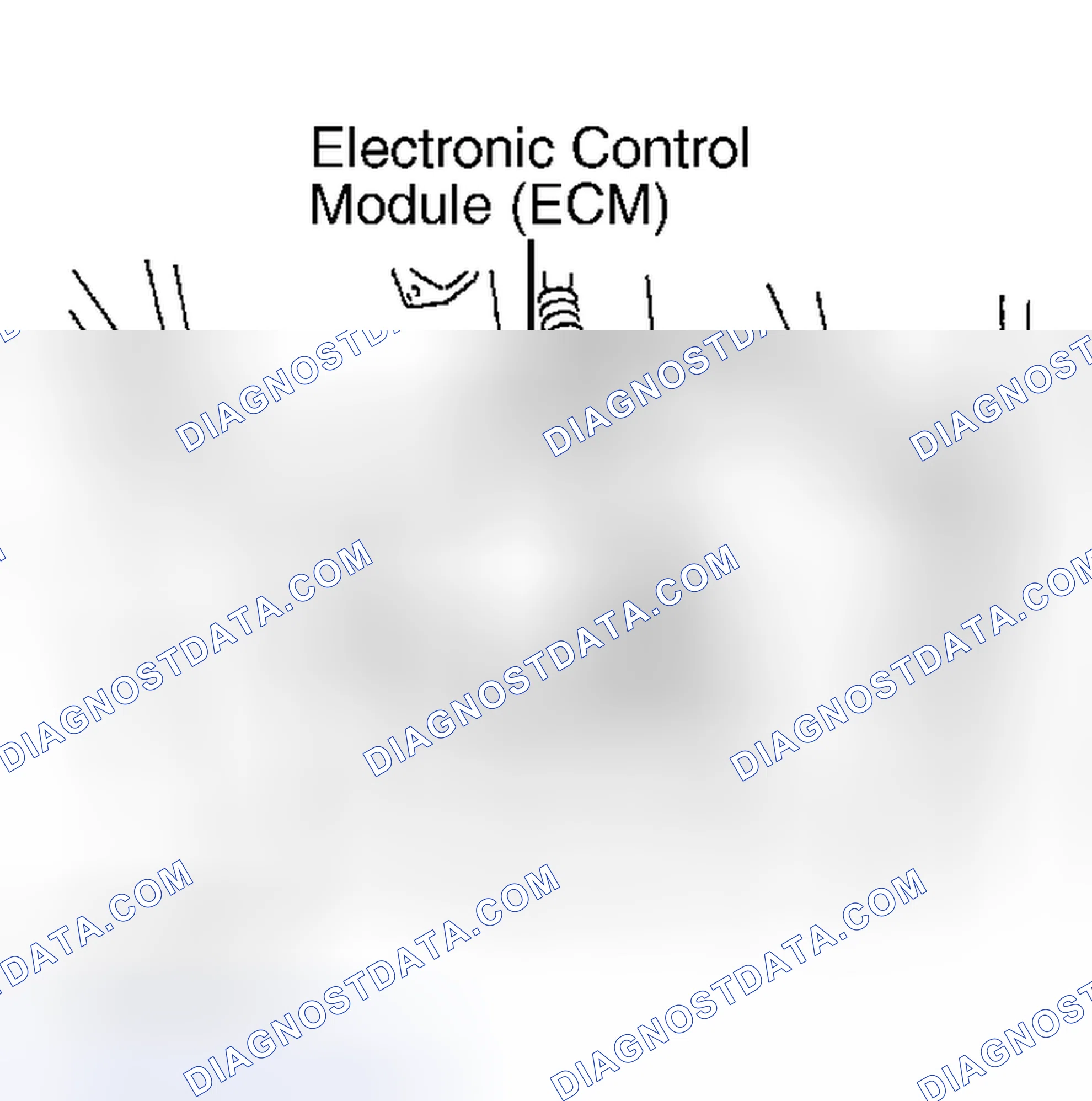 Scheme 13: ECM LOCATION