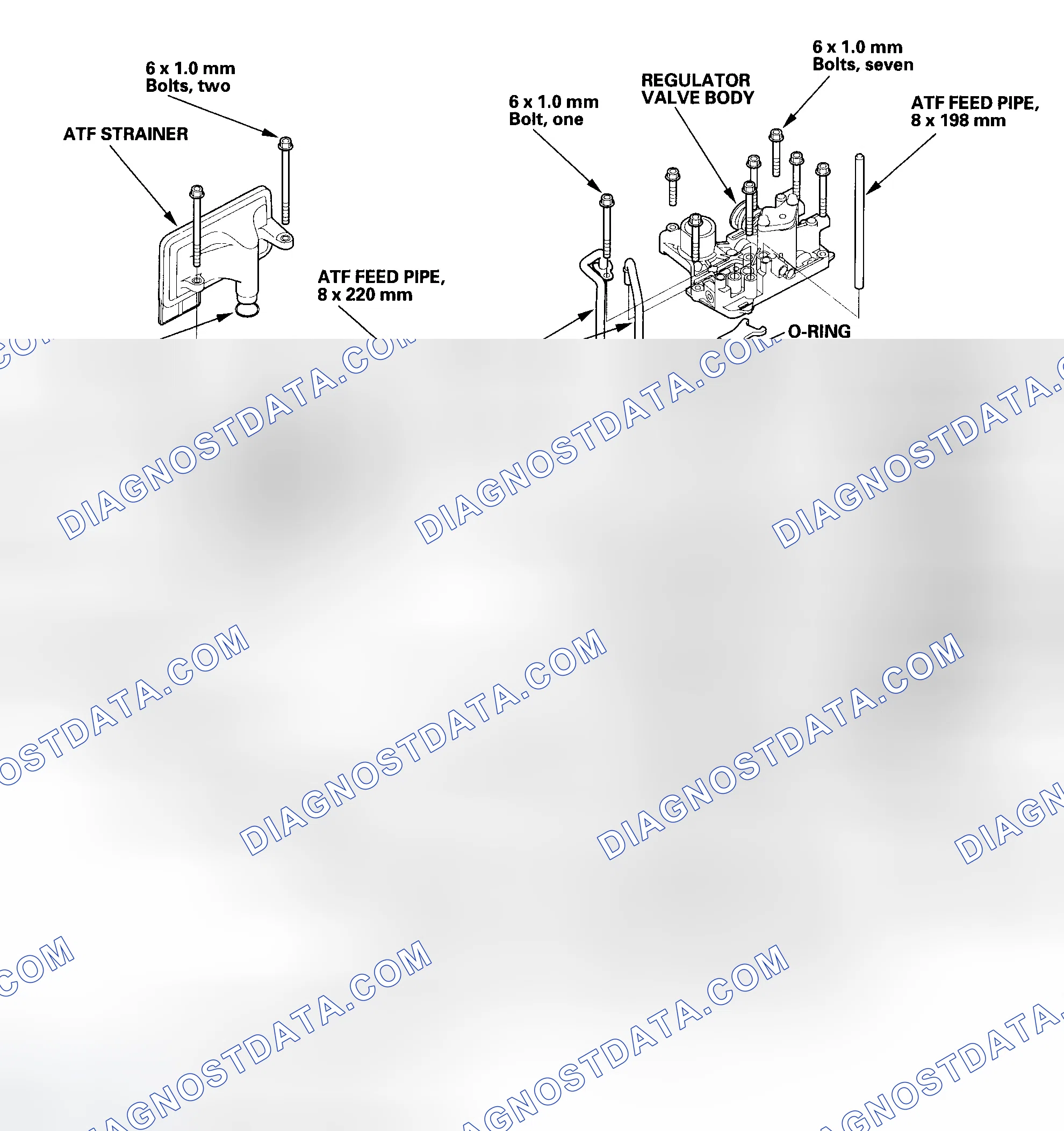 Scheme 491: Exploded View - 2003-2004 Models