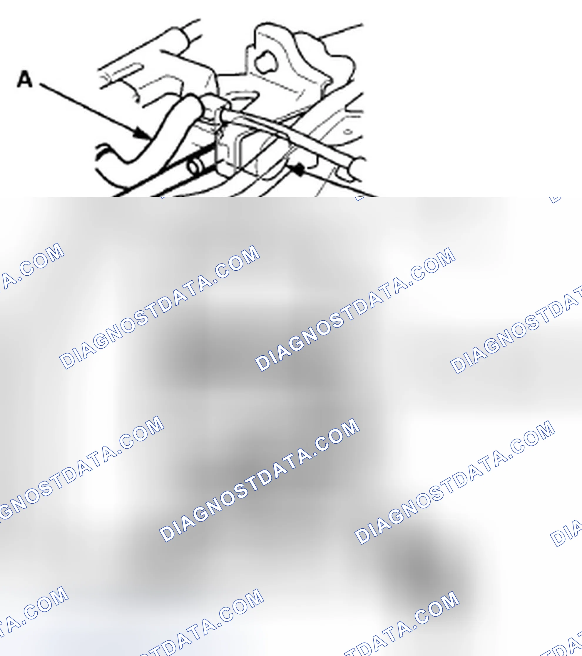 Scheme 796
