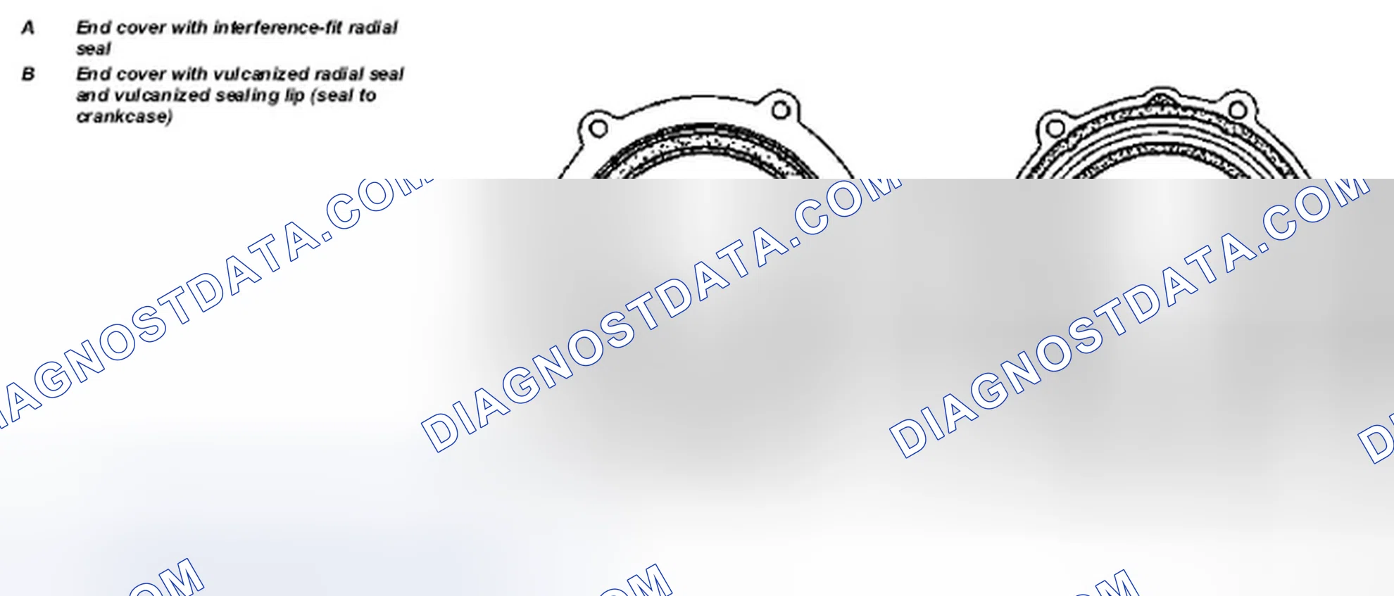 Fig. 4: Identifying End Cover With Vulcanized Radial Seal