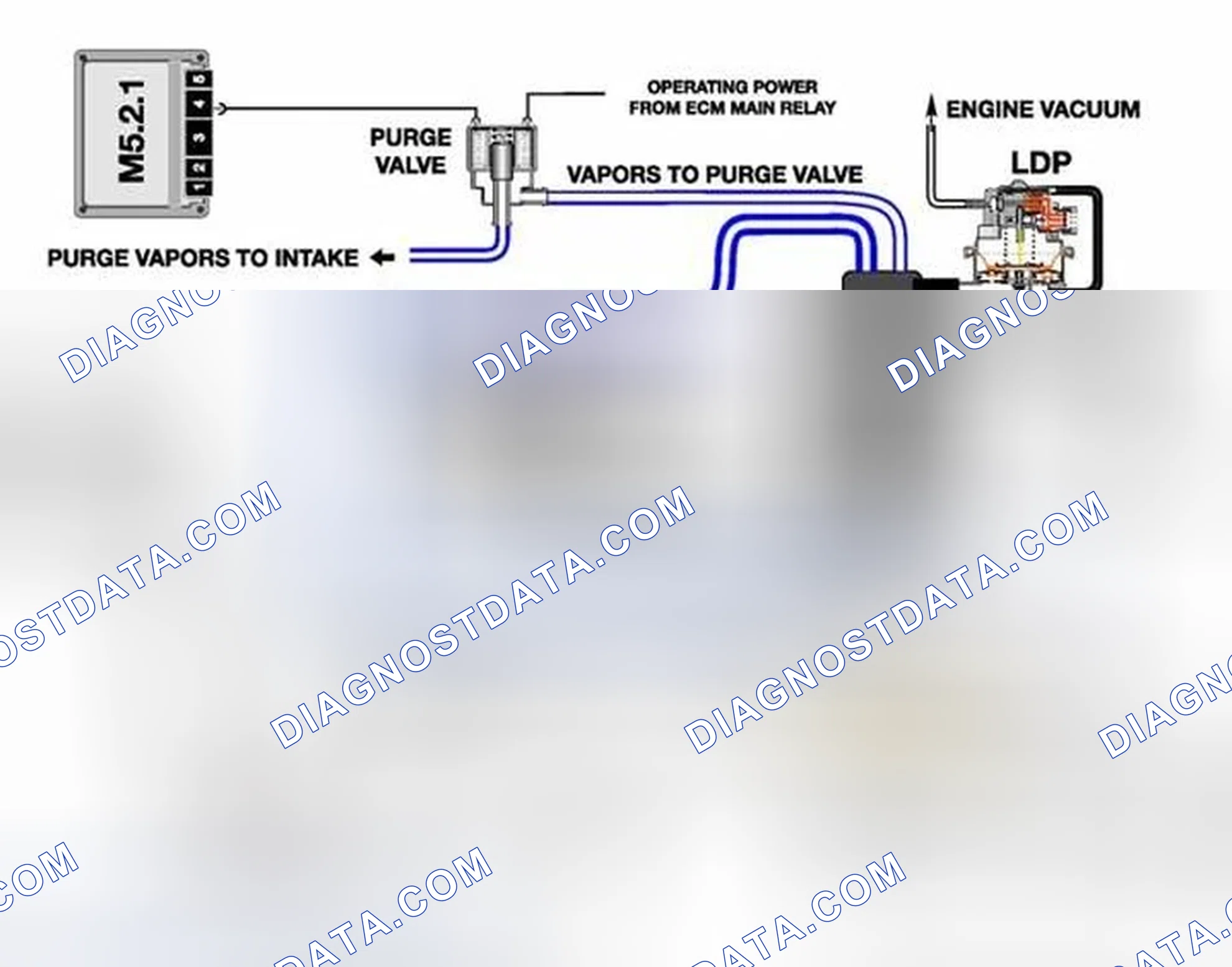 Scheme 341: Leak Diagnosis Pump (LDP System) Diagram