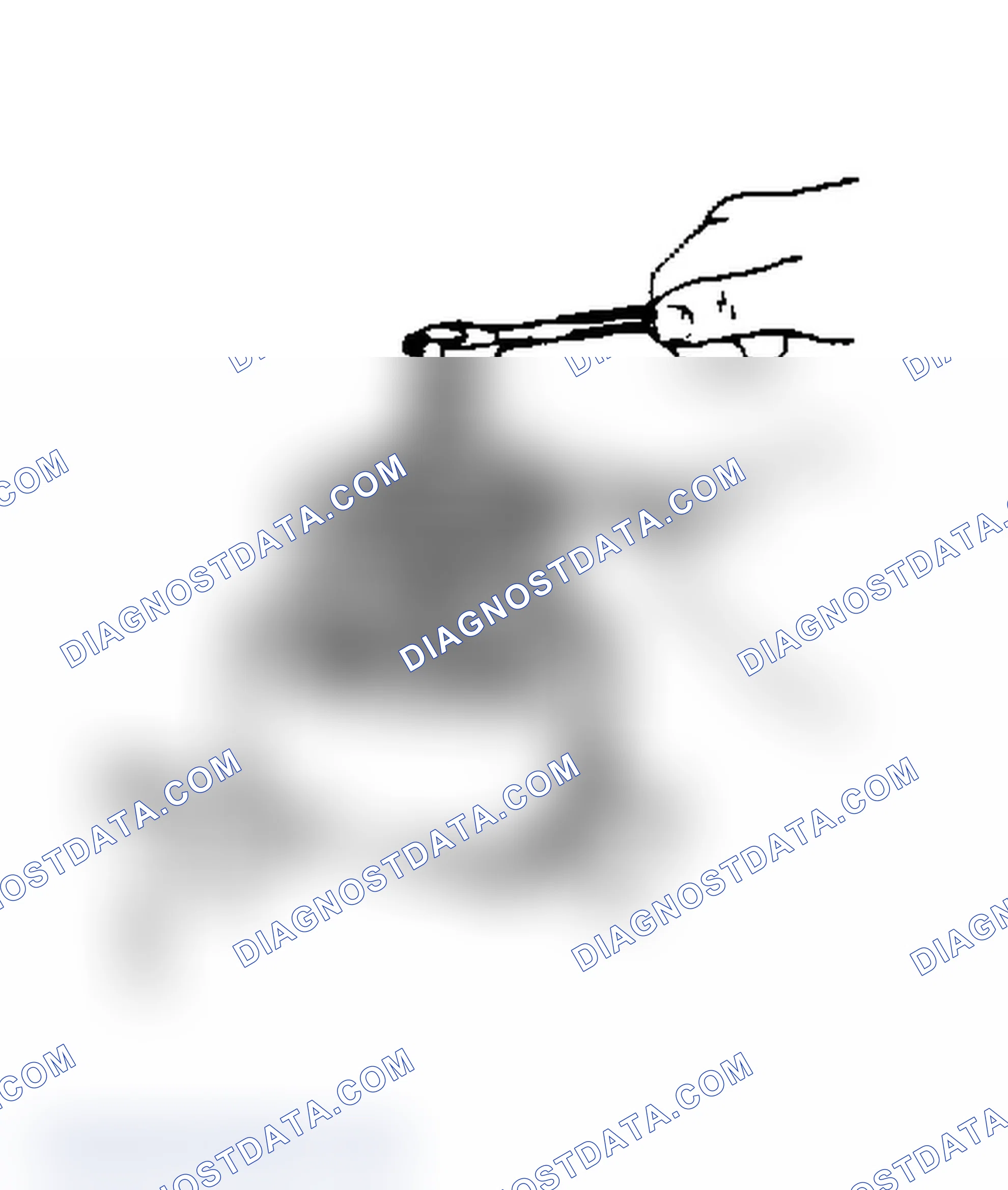 Scheme 24: Installing Clutch Plate (Con't)
