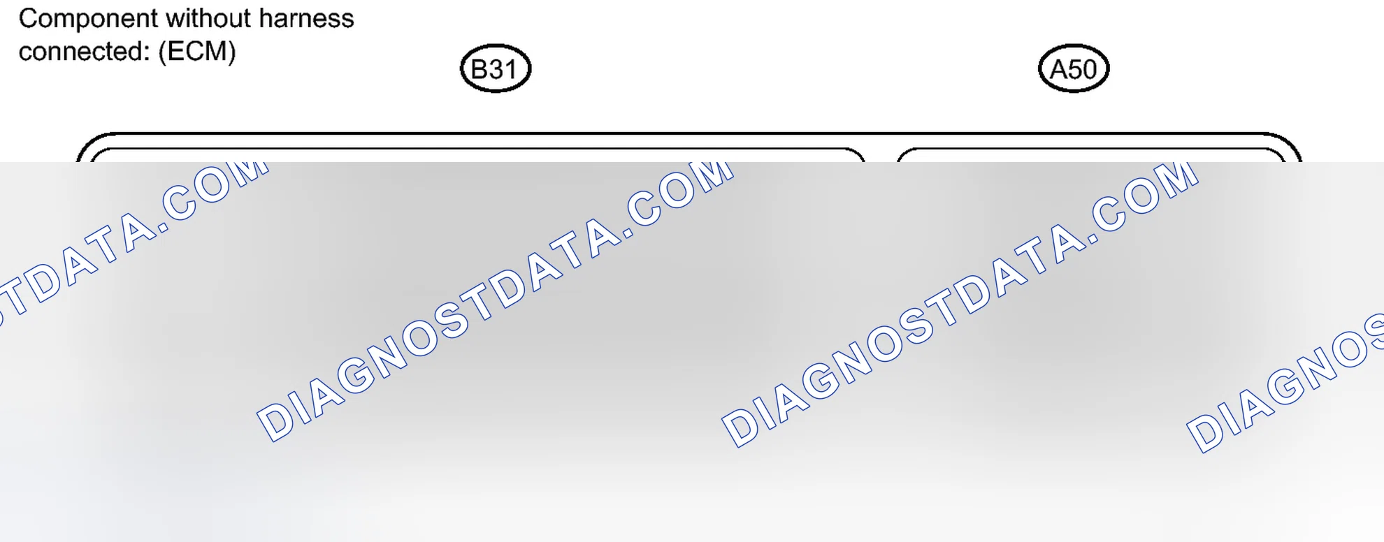 Scheme 2: TERMINALS OF ECM