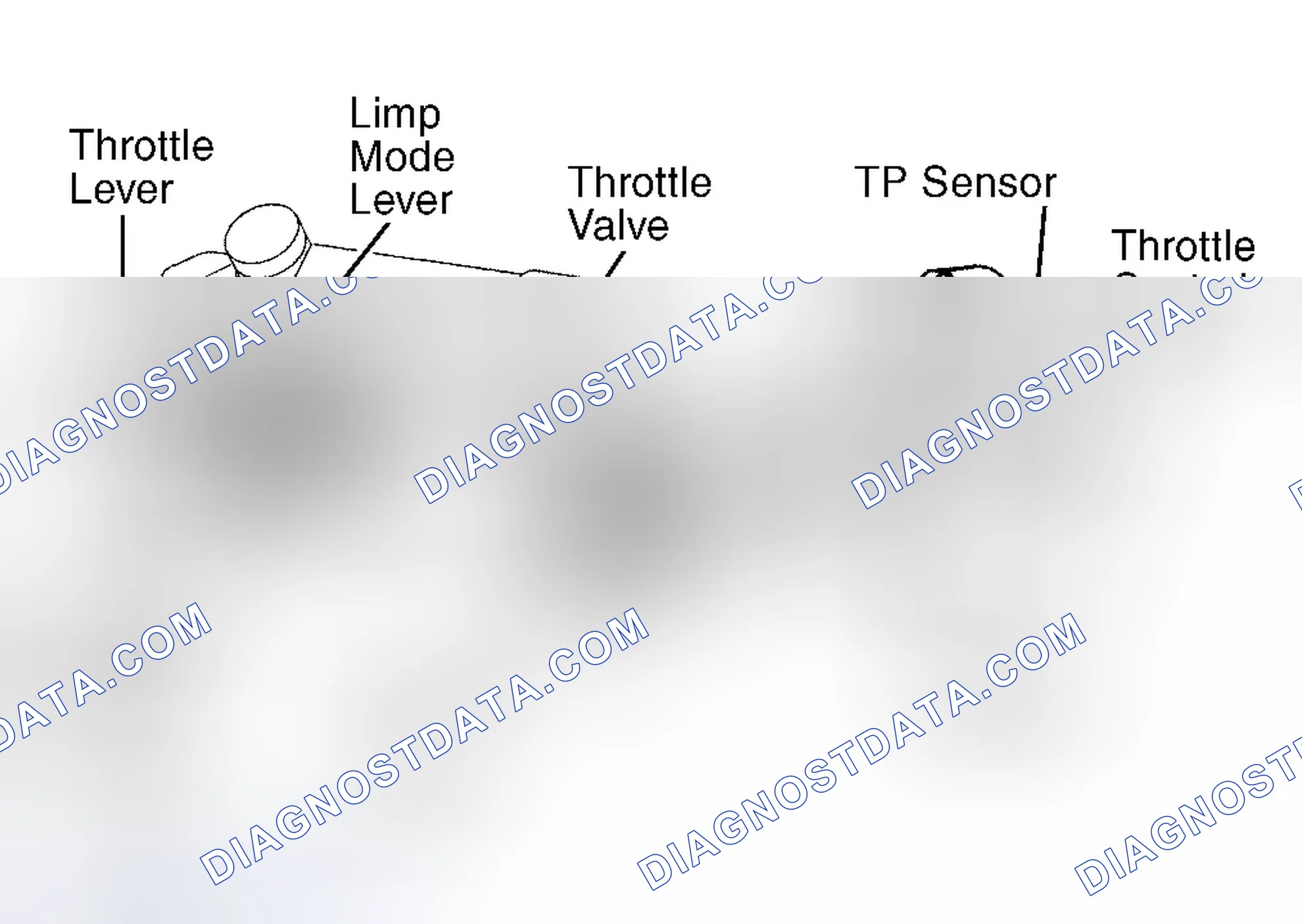 Scheme 6: Land Cruiser, Sequoia & Tundra 4.7L V8