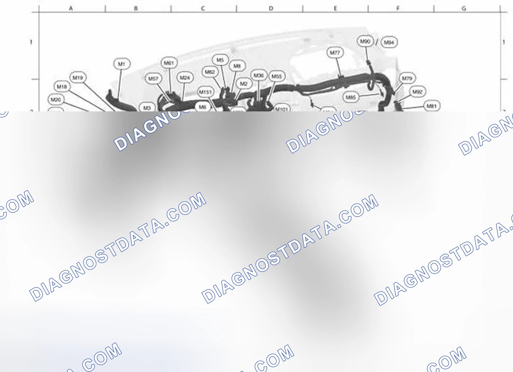 Scheme 5