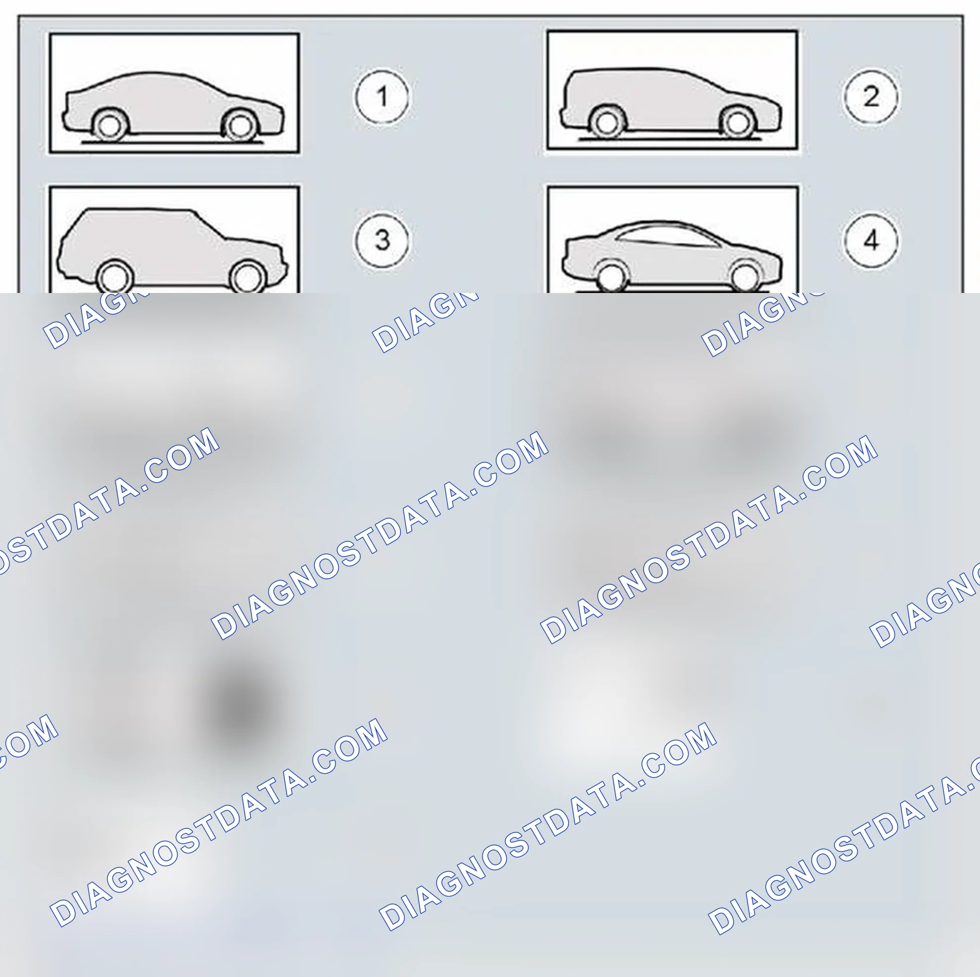 Scheme 4: Body Types